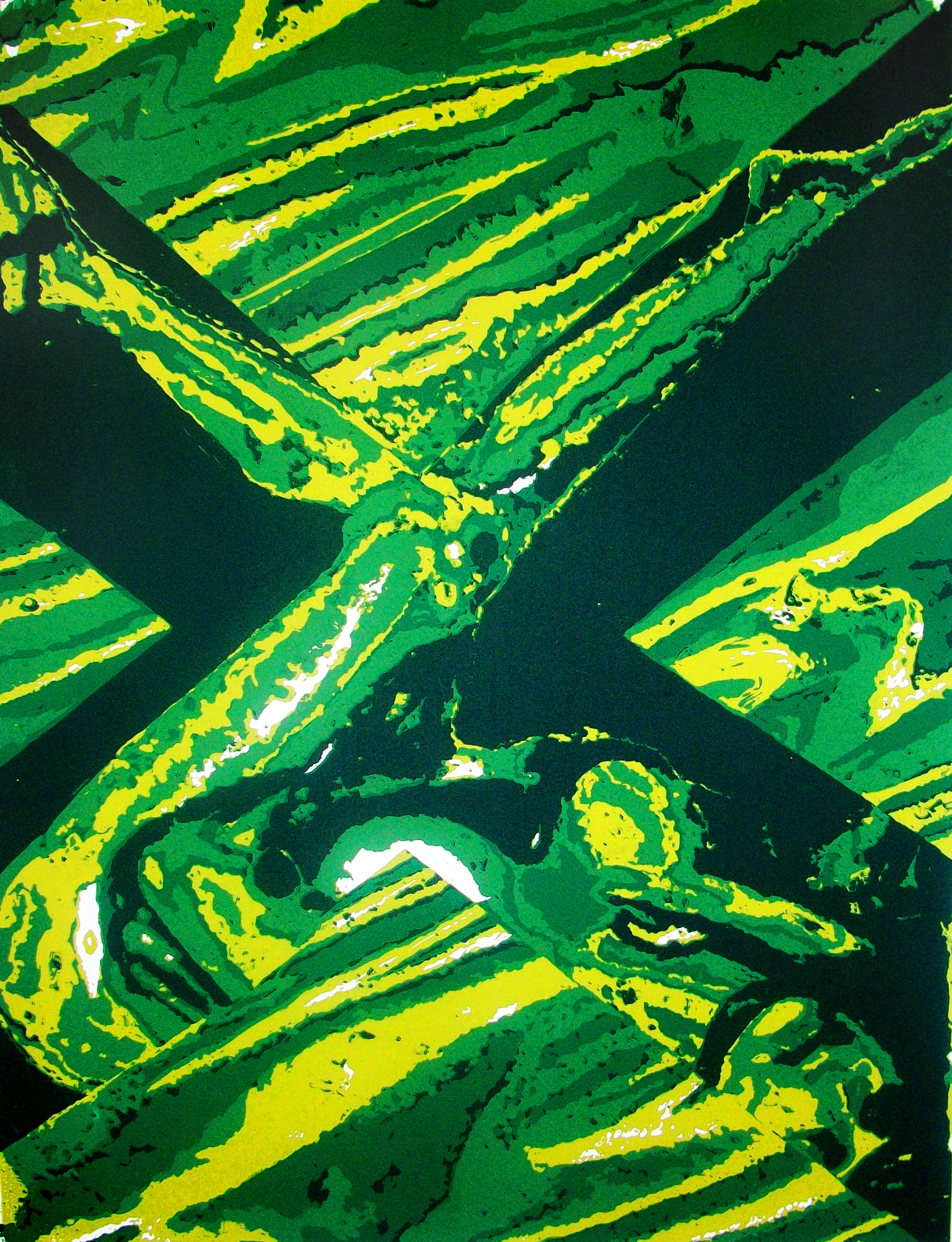 X-Otic 11 x 17 Print