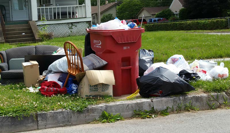 PNA-clean-up-3.jpg