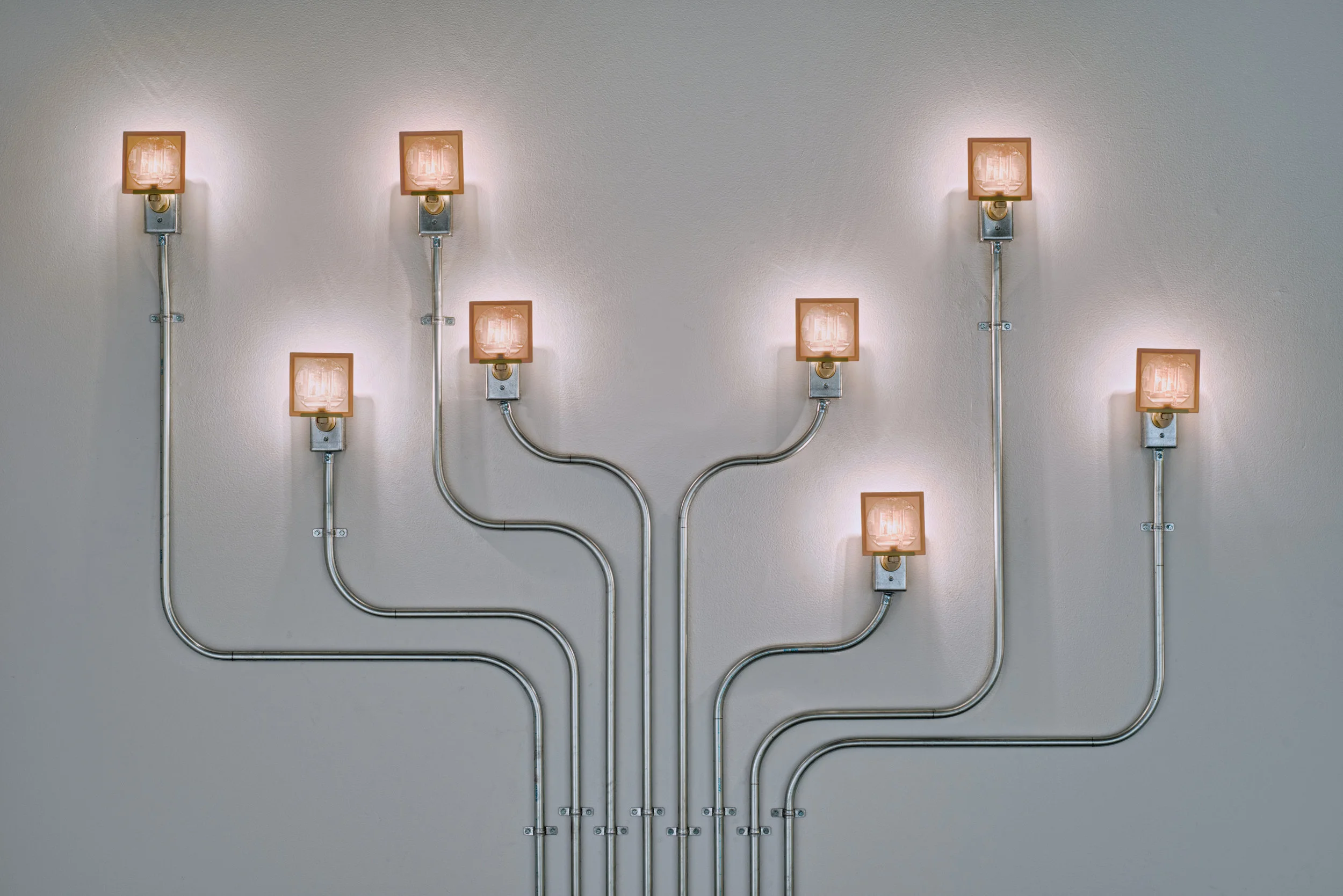 Moonlight (Espalier)