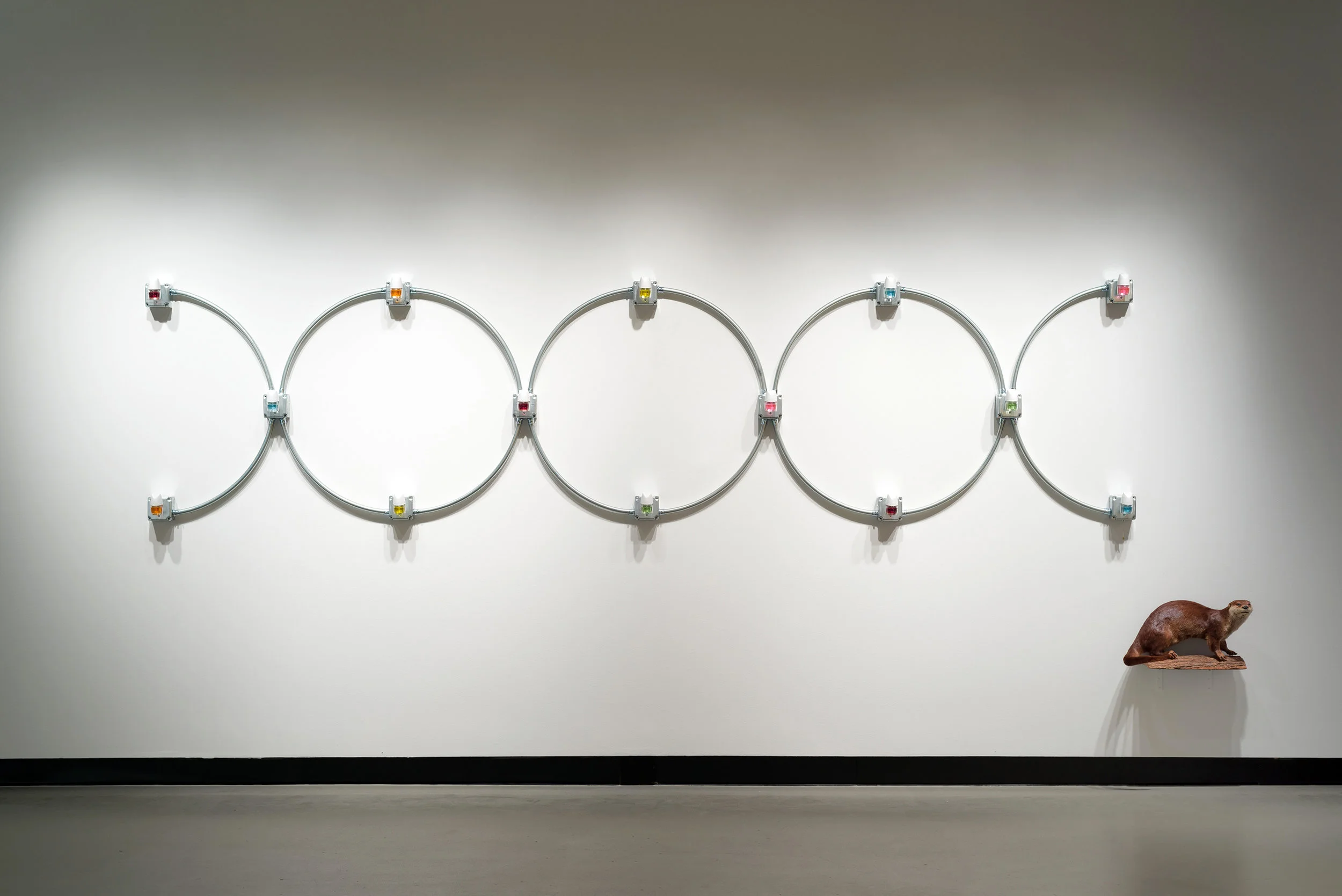 Dominion, (natural selection)