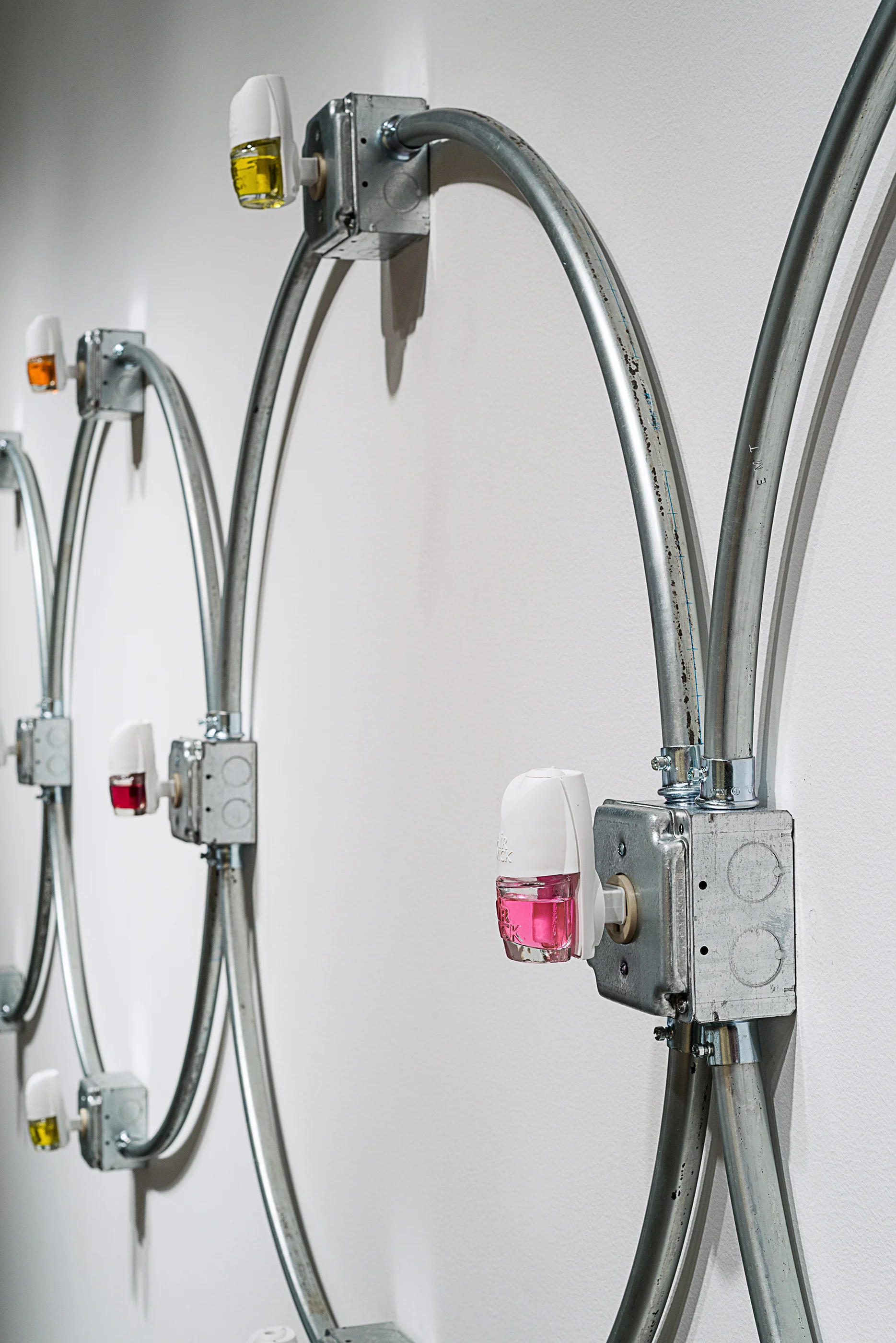 Dominion, (natural selection)