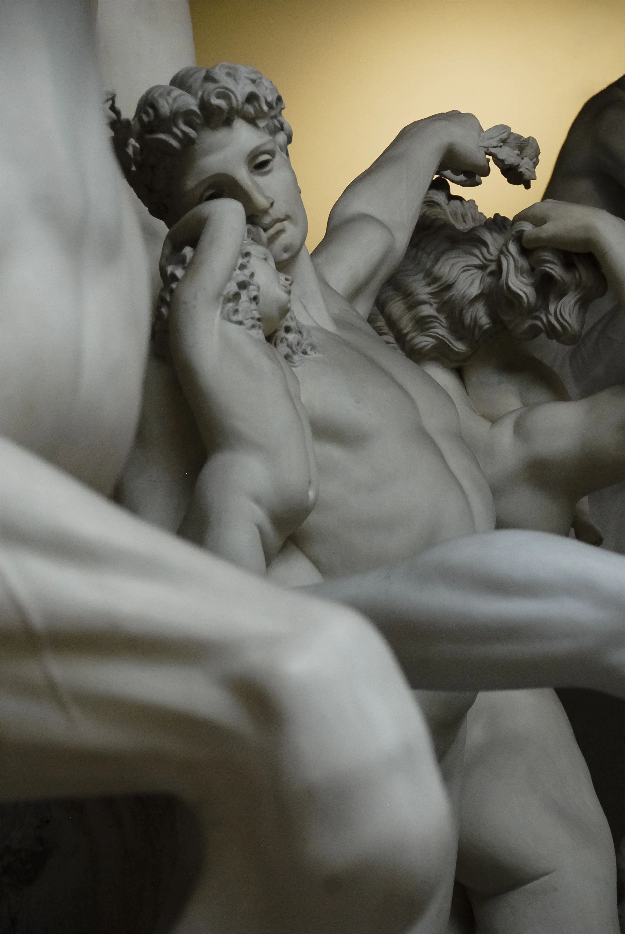 _DSC0308 as Smart Object-1.jpg