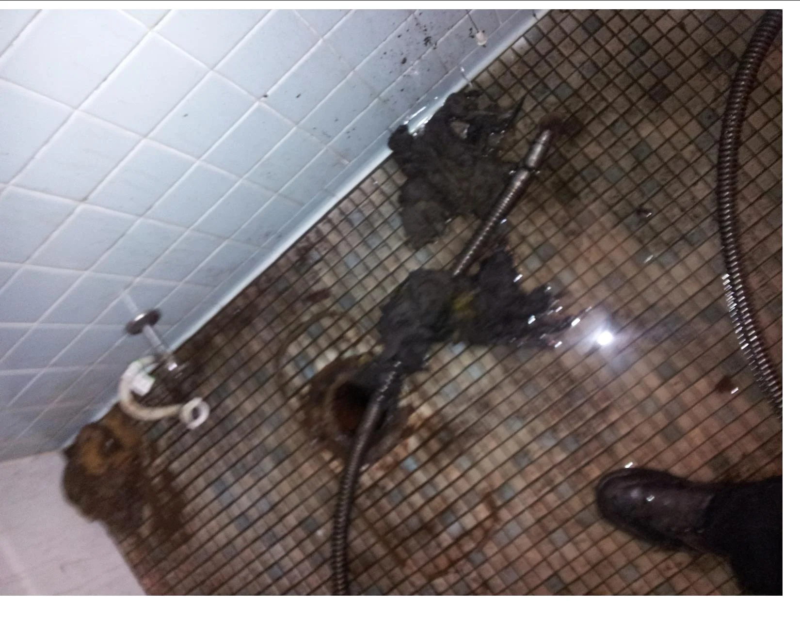WIPES-MAIN-TOILET-LINE.jpg