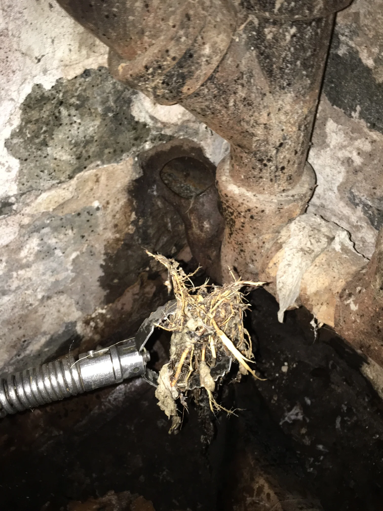Claim # 351340  Roots Found in Sewer Line.JPG