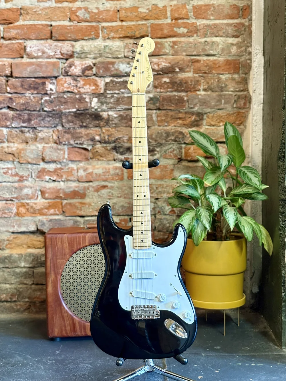 ギター Fender Stratocaster Eric clapton Blackie IMG_2560.jpeg?format=1000w