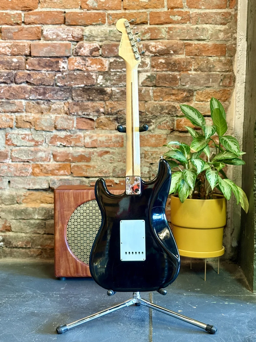 Fender Eric Clapton 