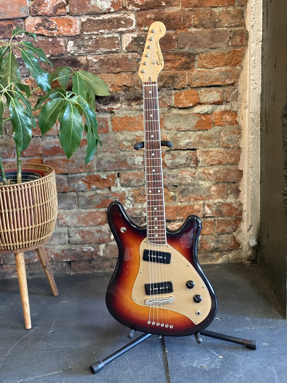 ギター Squier by Fender VS-55 Venus vista Squier VS-55 Vista Series Venus Courtney Love Signature Surf Green