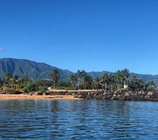 Hau&rsquo;oli Haleiwa! 🌴💙💚💛 This summer has been nothing short of spectacular sunny days! Don&rsquo;t forget that our #YouTube lessons created by our talented @sunset_beach_elementary_school teachers are still up on #youtube  for the times that&r