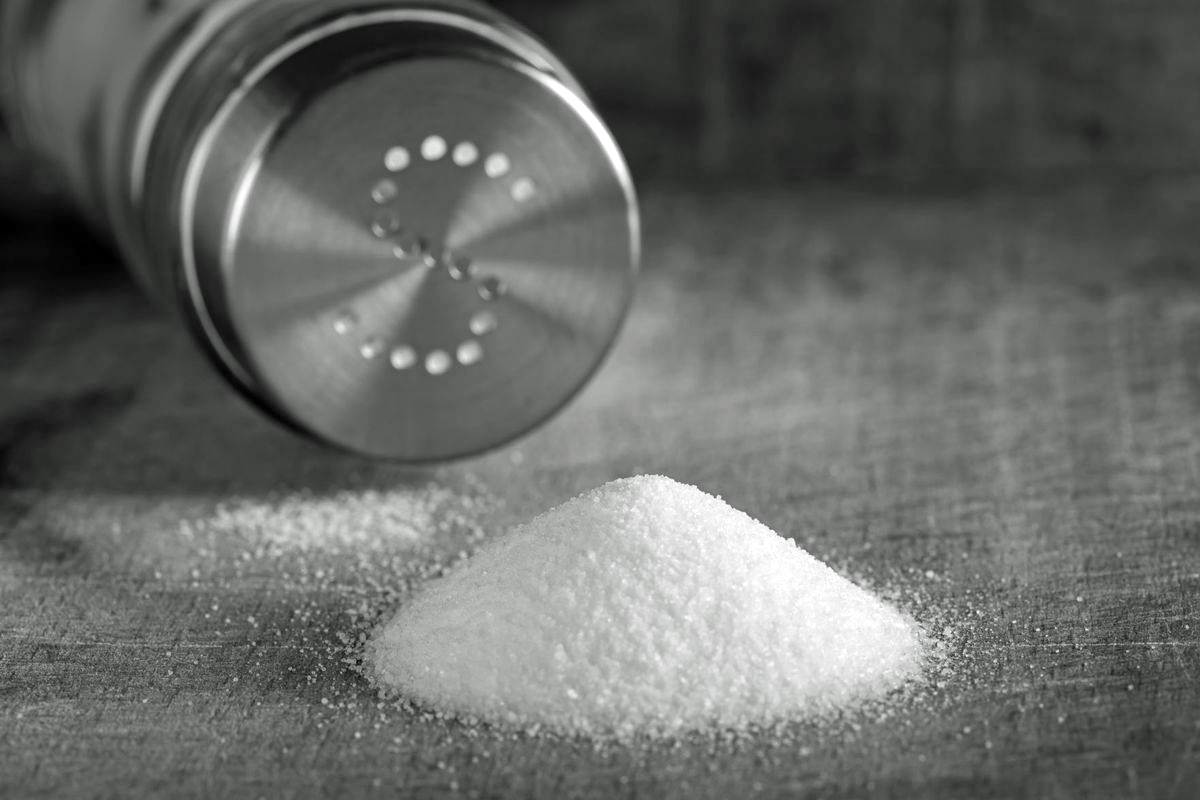 Grain of Salt: First Installment