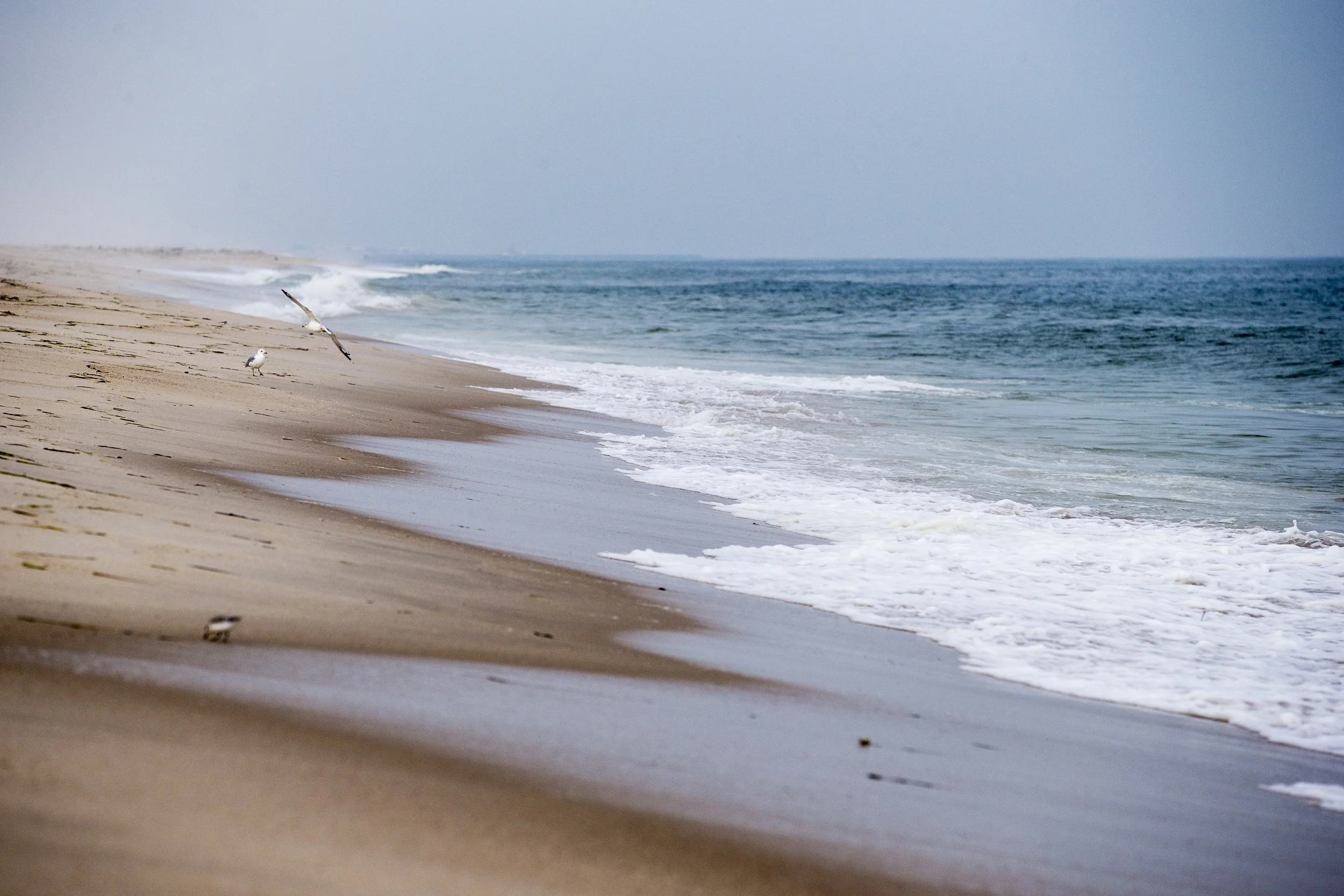 randeedaddona-0318.jpg