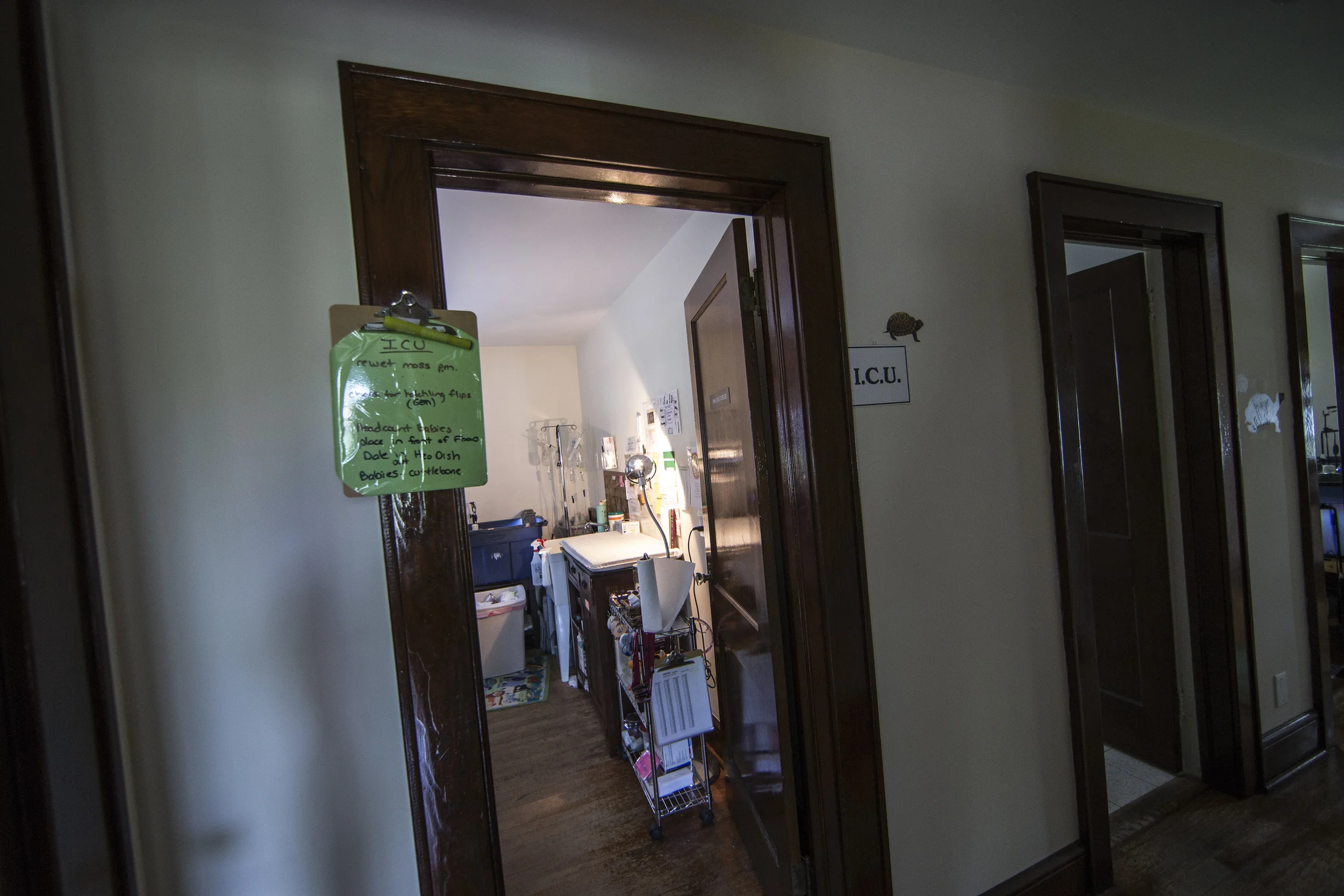 randee_Daddona-5269.jpg
