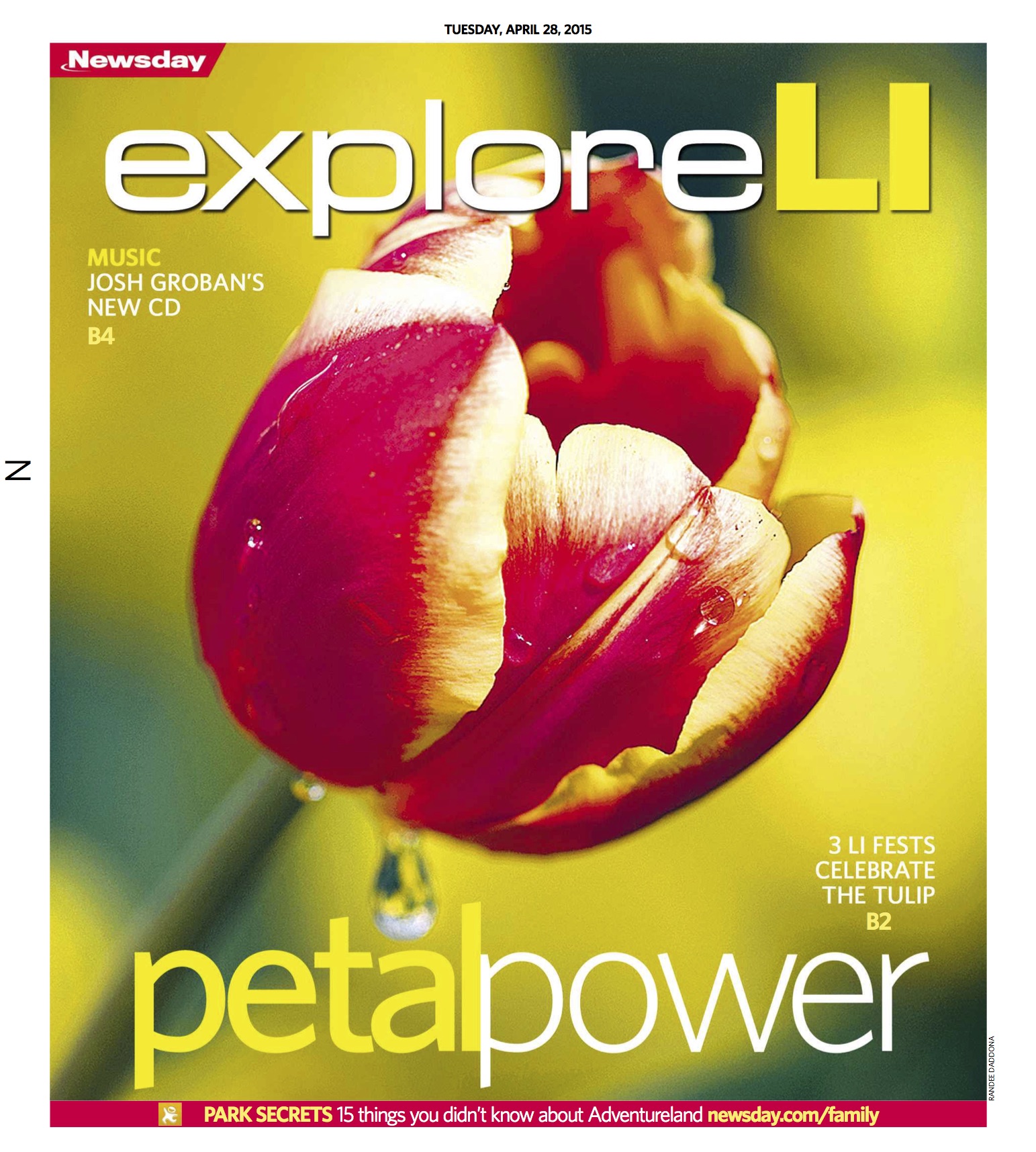 page-40tulip.jpg