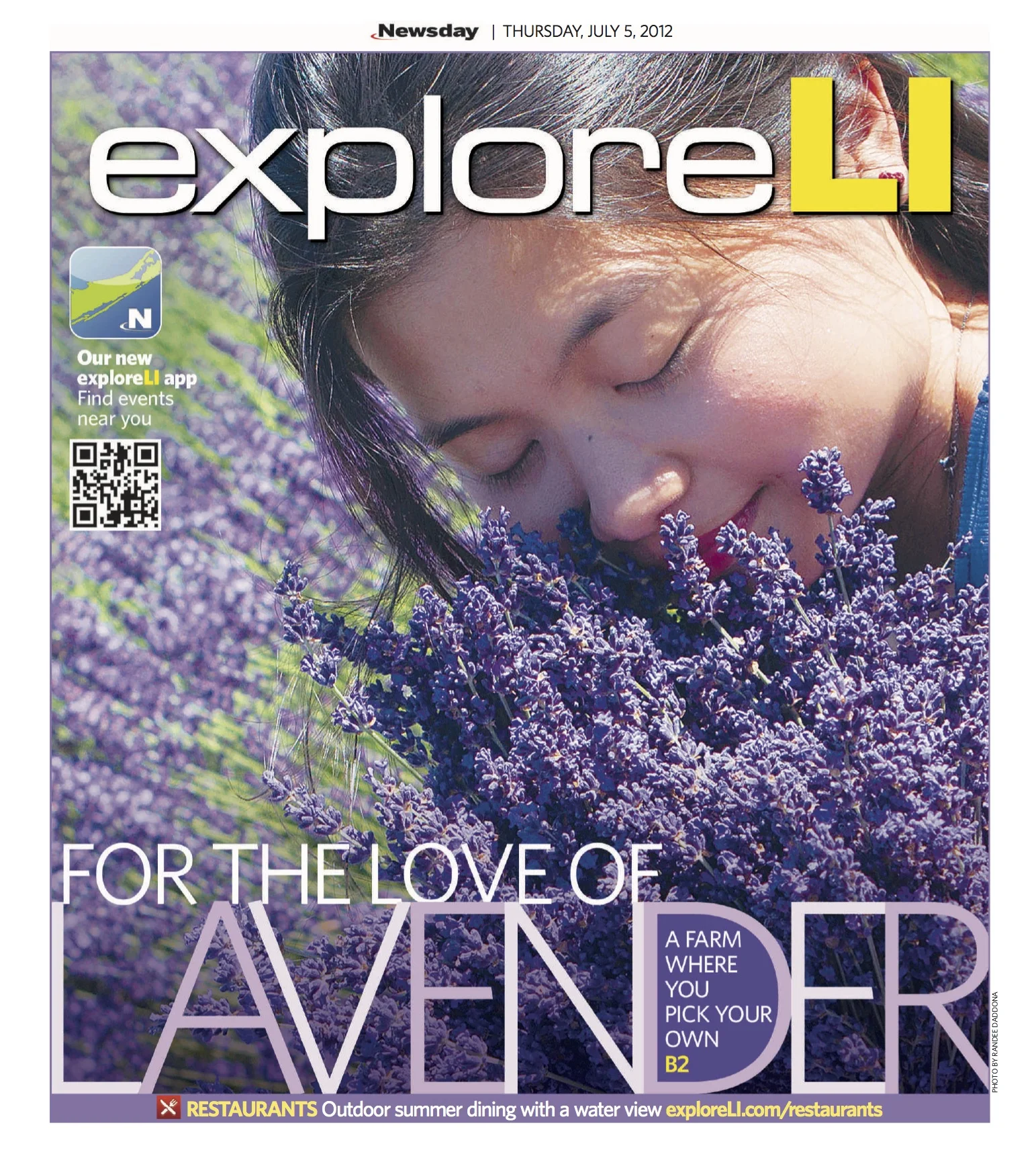 lavender.jpg