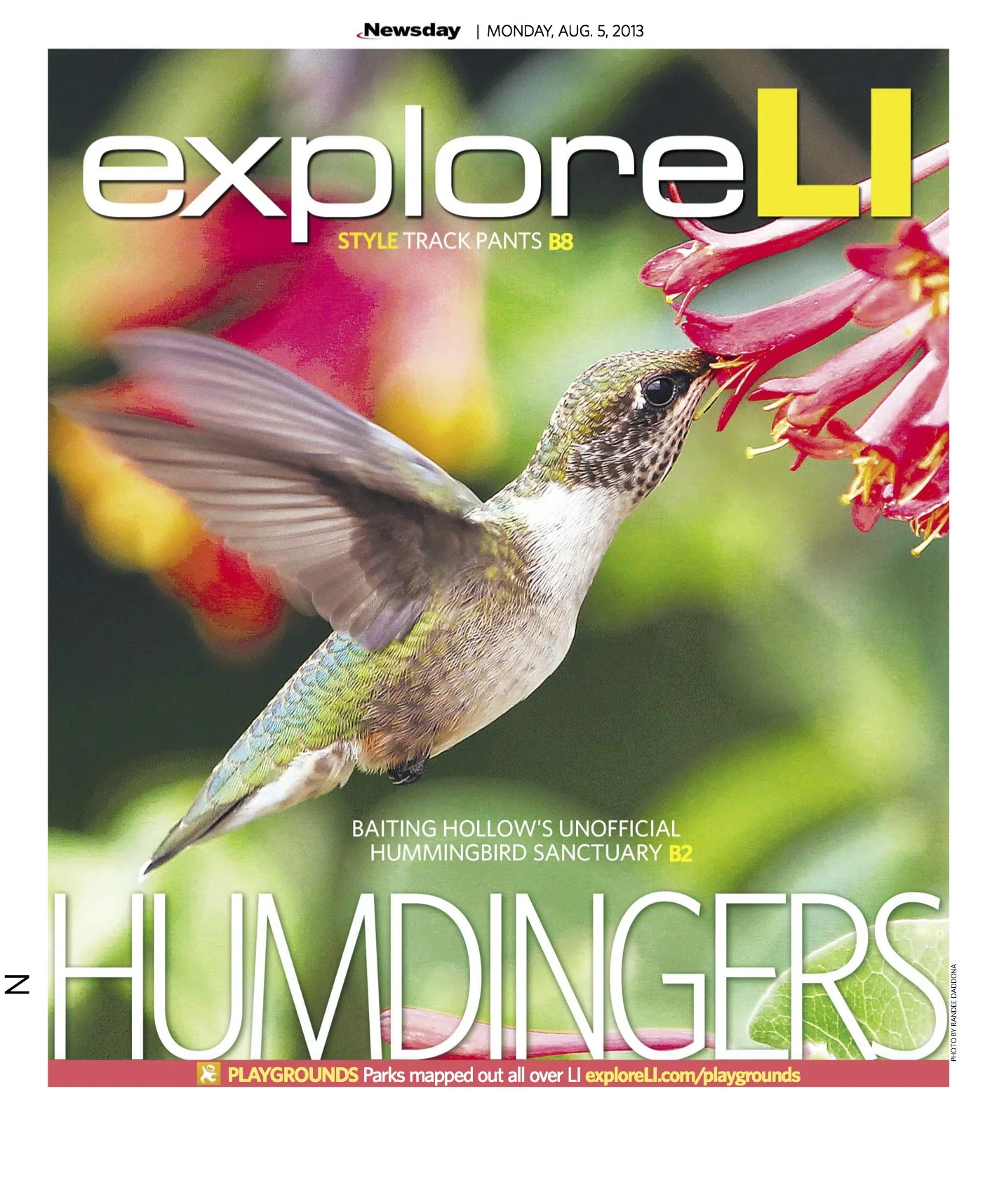 huminhbird.jpg