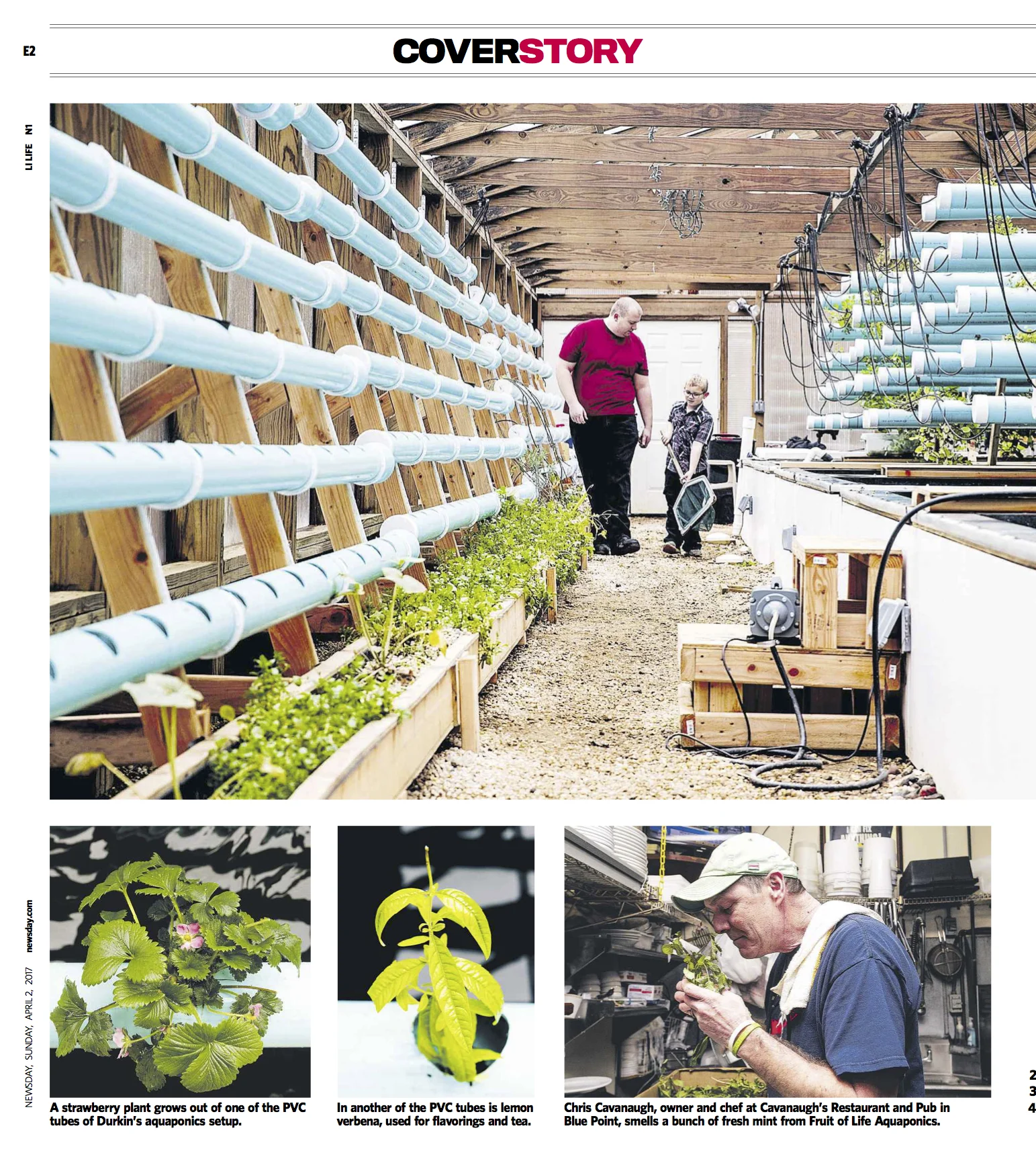 AQUAPONICS2.jpg
