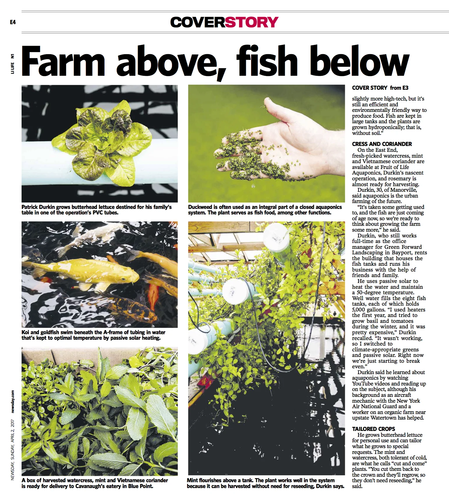 AQUAPONICS4.jpg