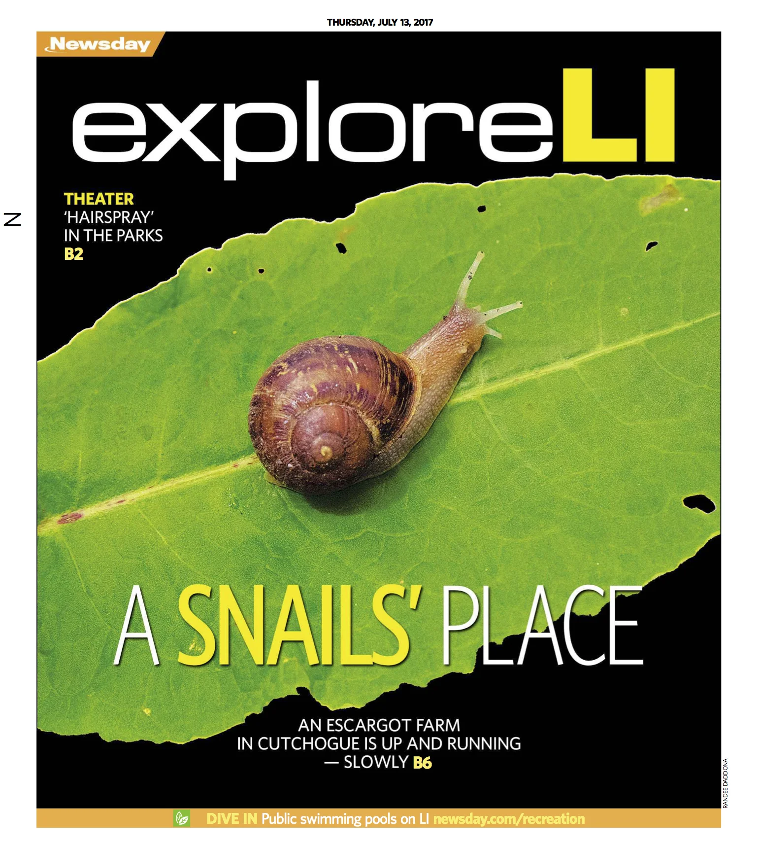 SNAIL1.jpg