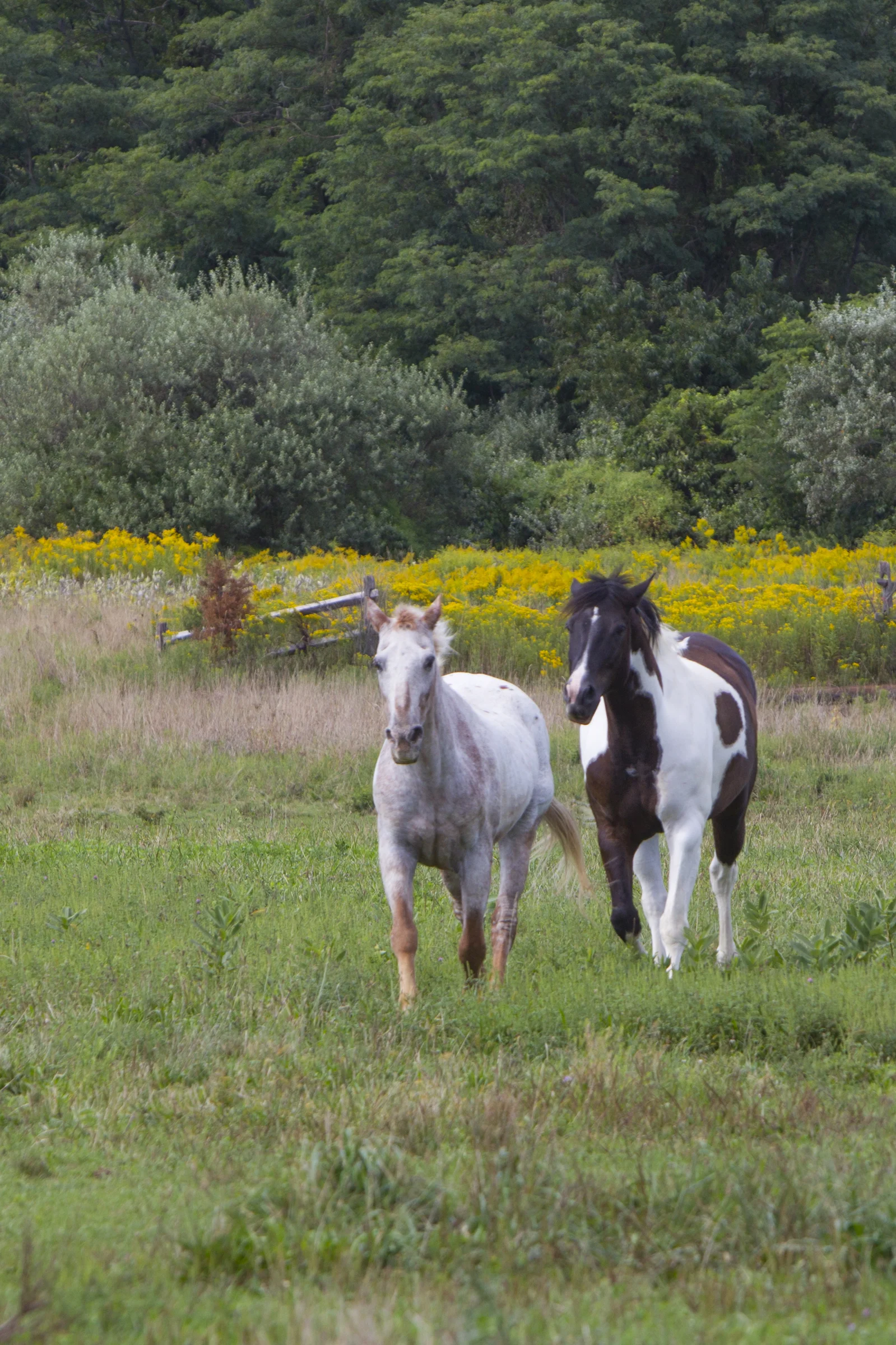 randeedaddona-0020.jpg