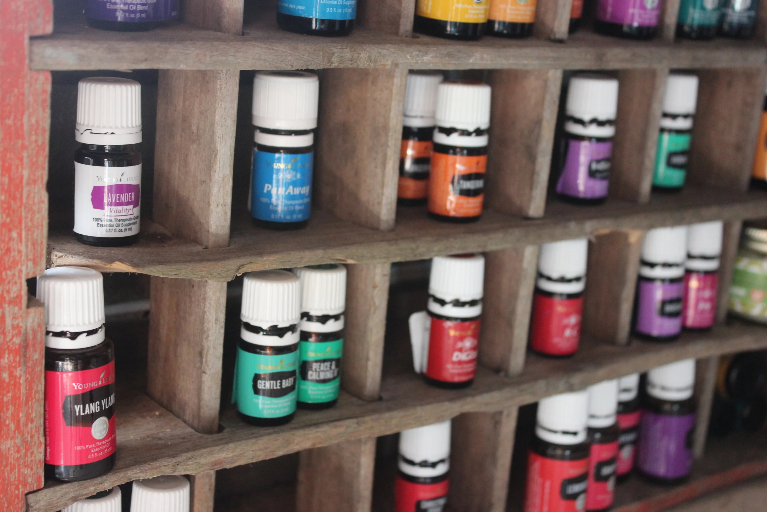 My Top 5 Tips To Ditch And Switch Your Products The Mushy Mom s Fiat