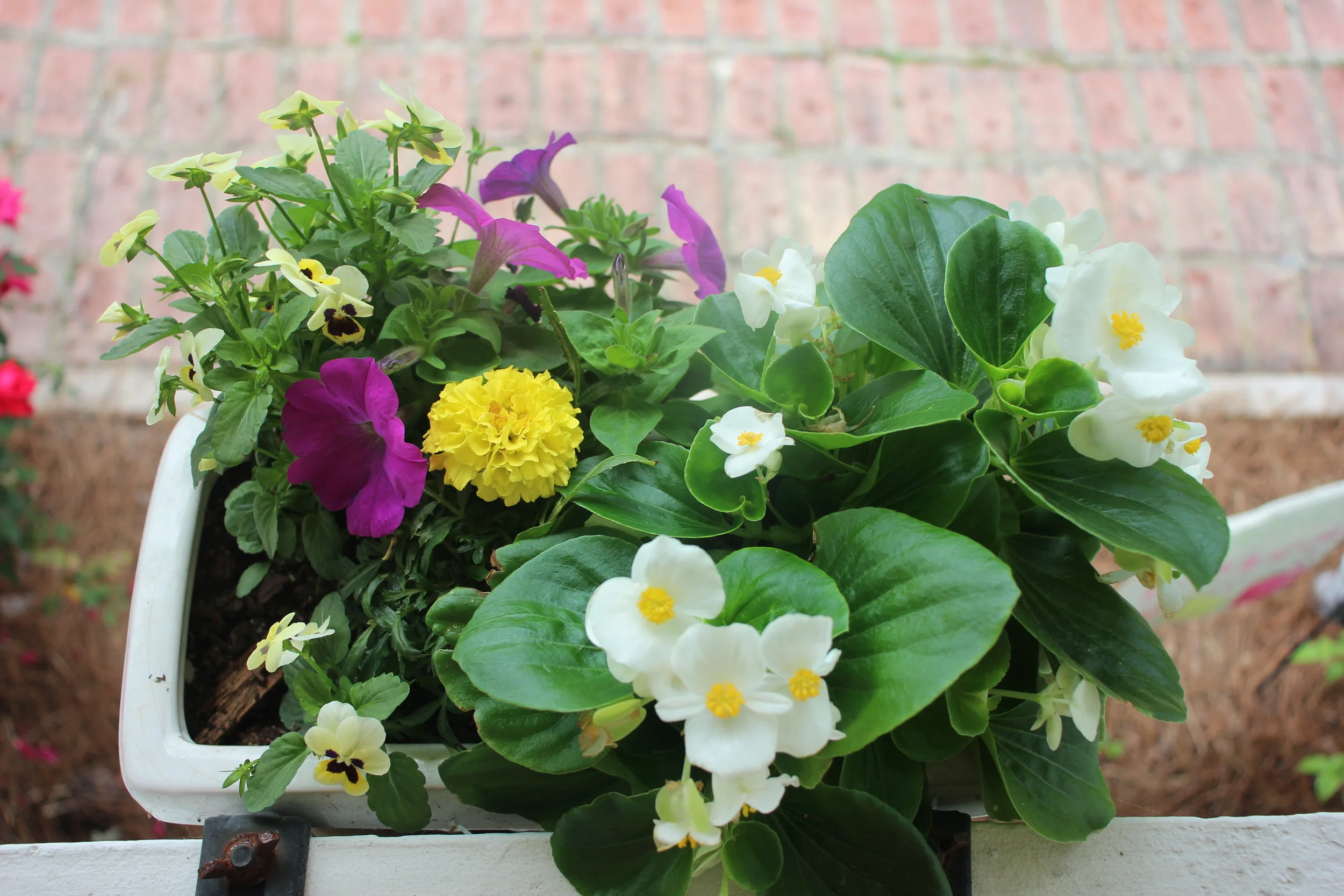 Creating an Easy Flower Box 