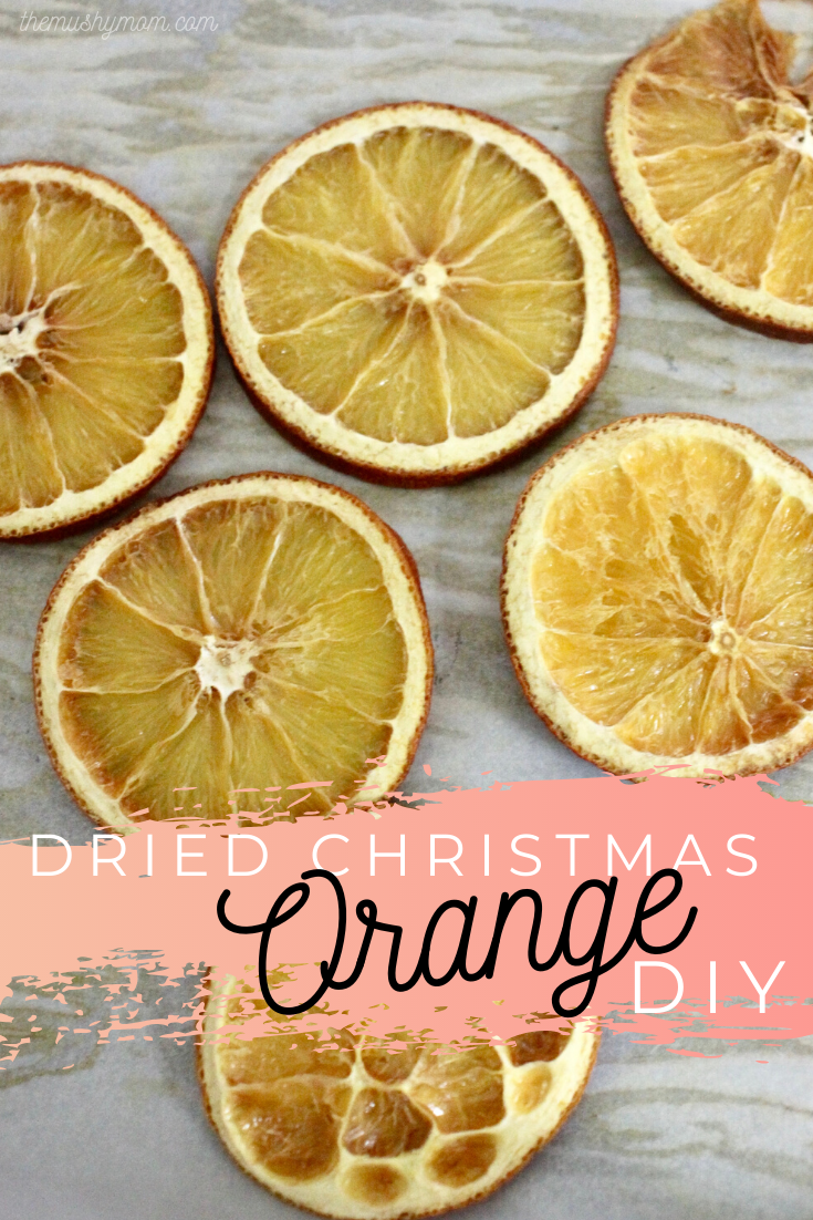 Dried Orange DIY-2.png