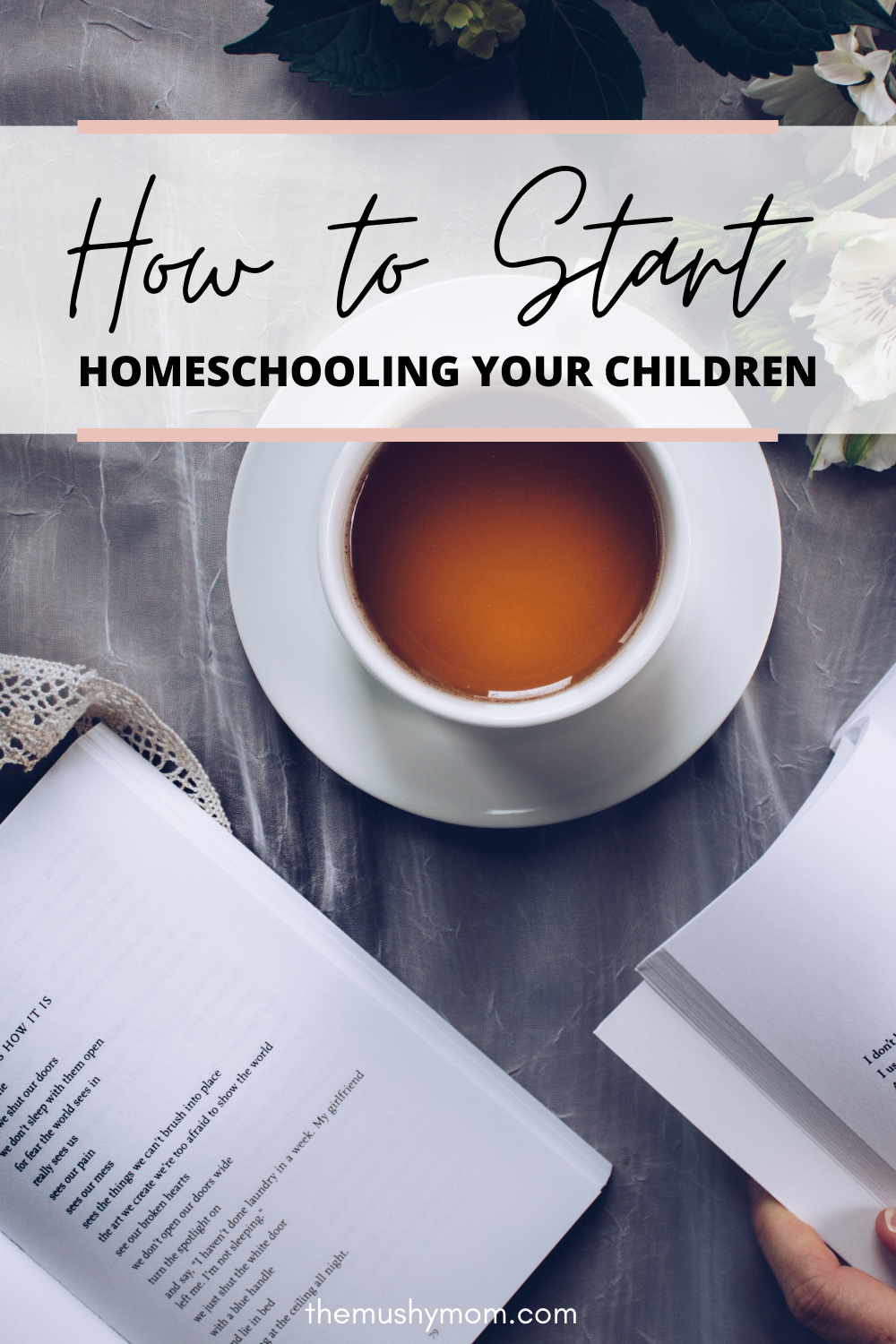 How to Begin Homeschooling_2.png