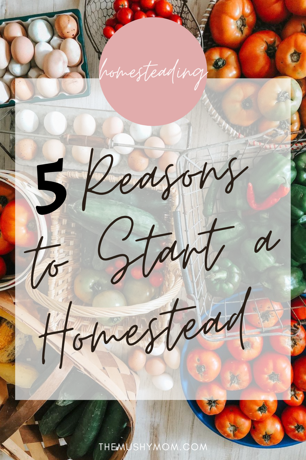 5 Reasons to start a homestead.png