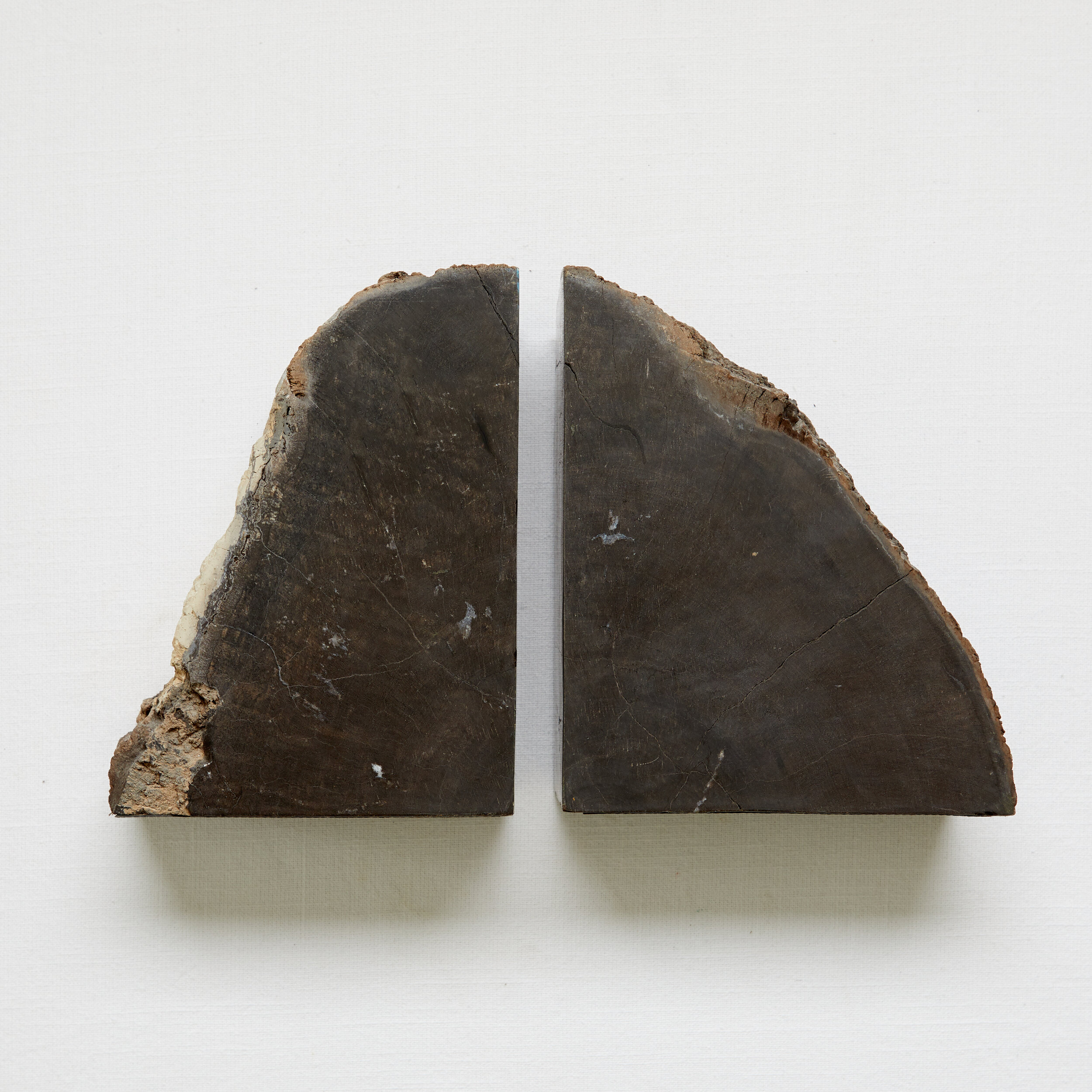 Petrified Wood Bookends.jpg