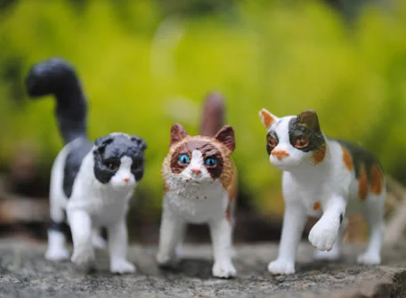 3cats_jpg.jpg