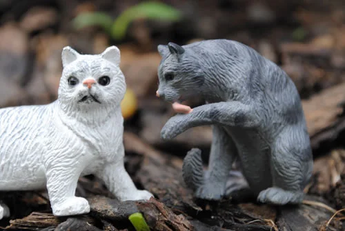 7_whitekitteh_jpg.jpg