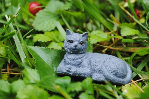 8_greaykitteh_jpg.jpg