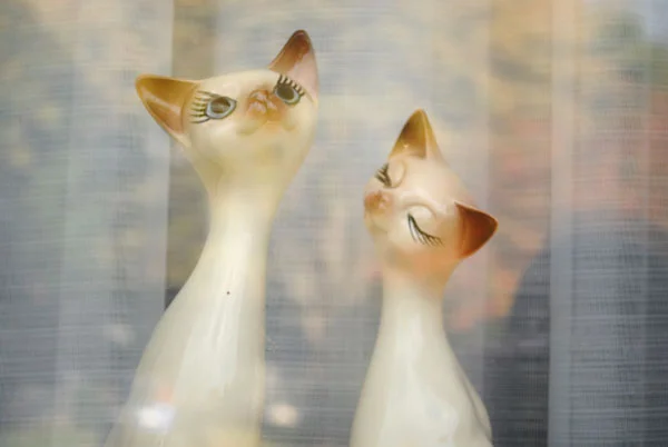 Admiration