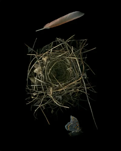Ephmeral Permanence #5
