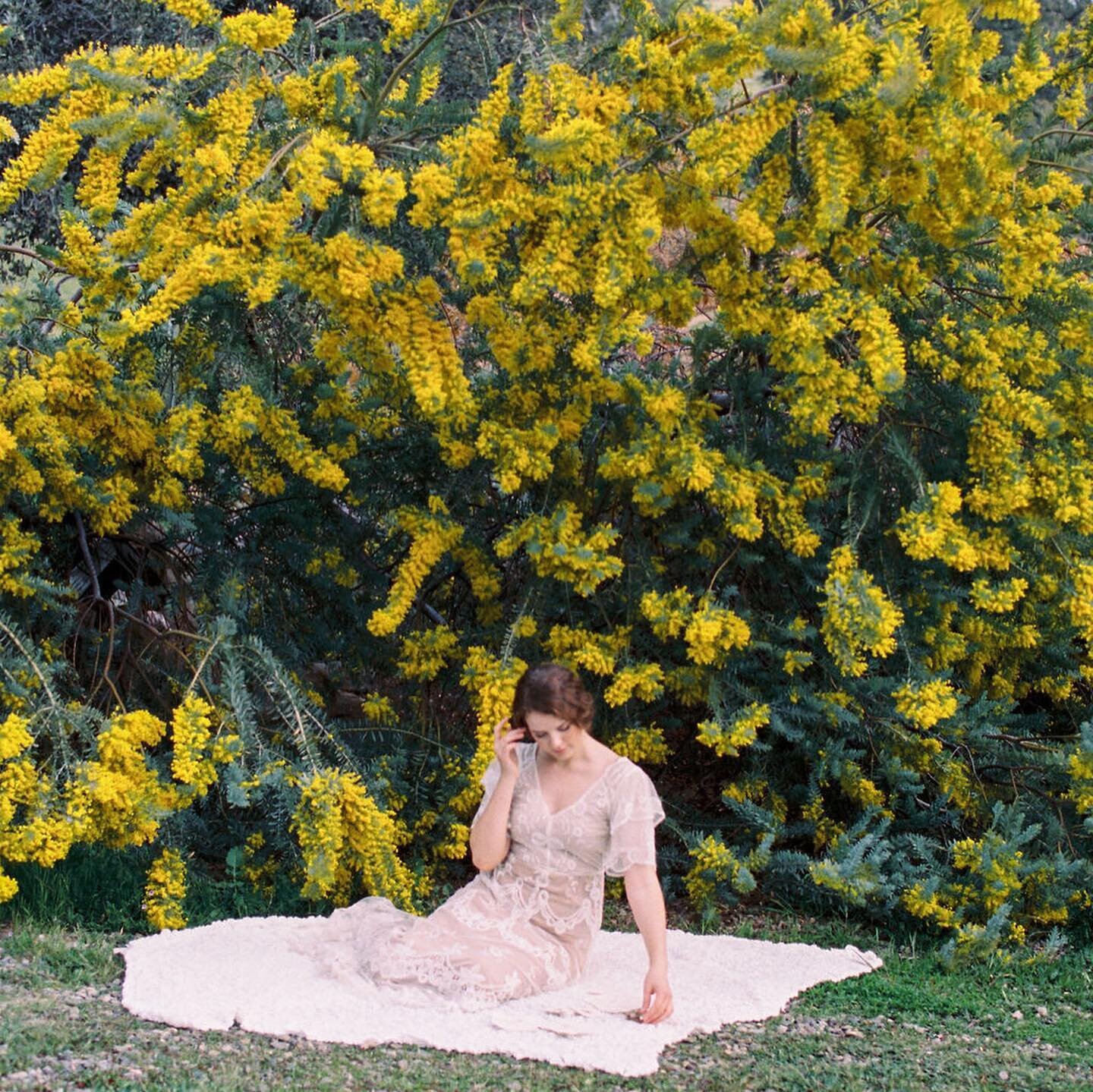 Swipe 👉 through to see this whimsical editorial shoot in California featuring a #handmade booklet made with soft, hand-torn cotton paper. I've been testing out new techniques for bookbinding that I&rsquo;ll be using for vow books coming soon! 
⠀⠀⠀⠀⠀