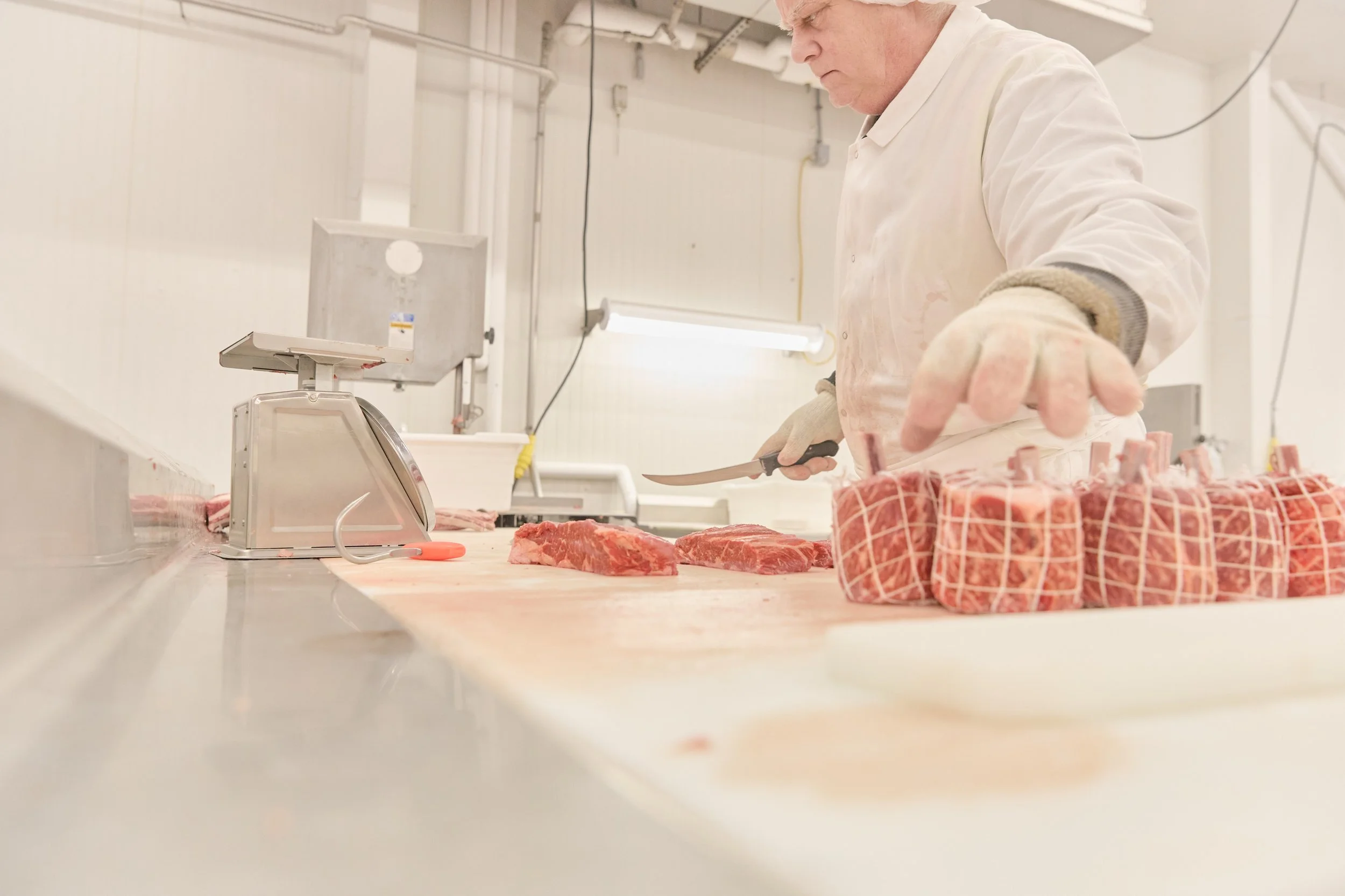 USF-222 Stock Yards Tour_437.jpg