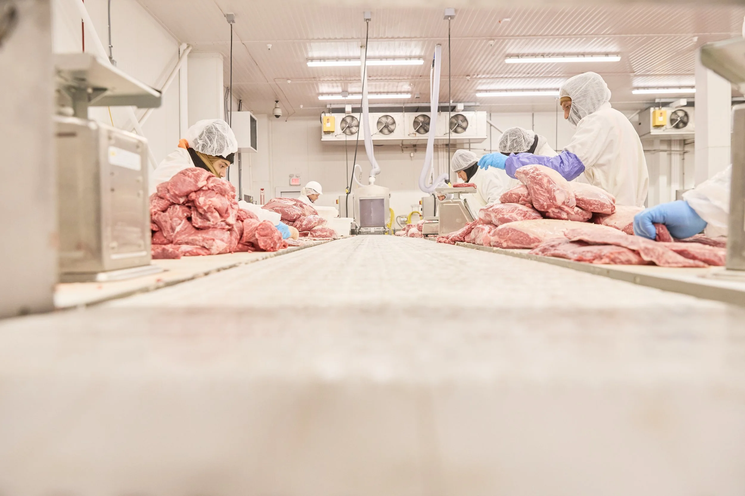 USF-222 Stock Yards Tour_478.jpg