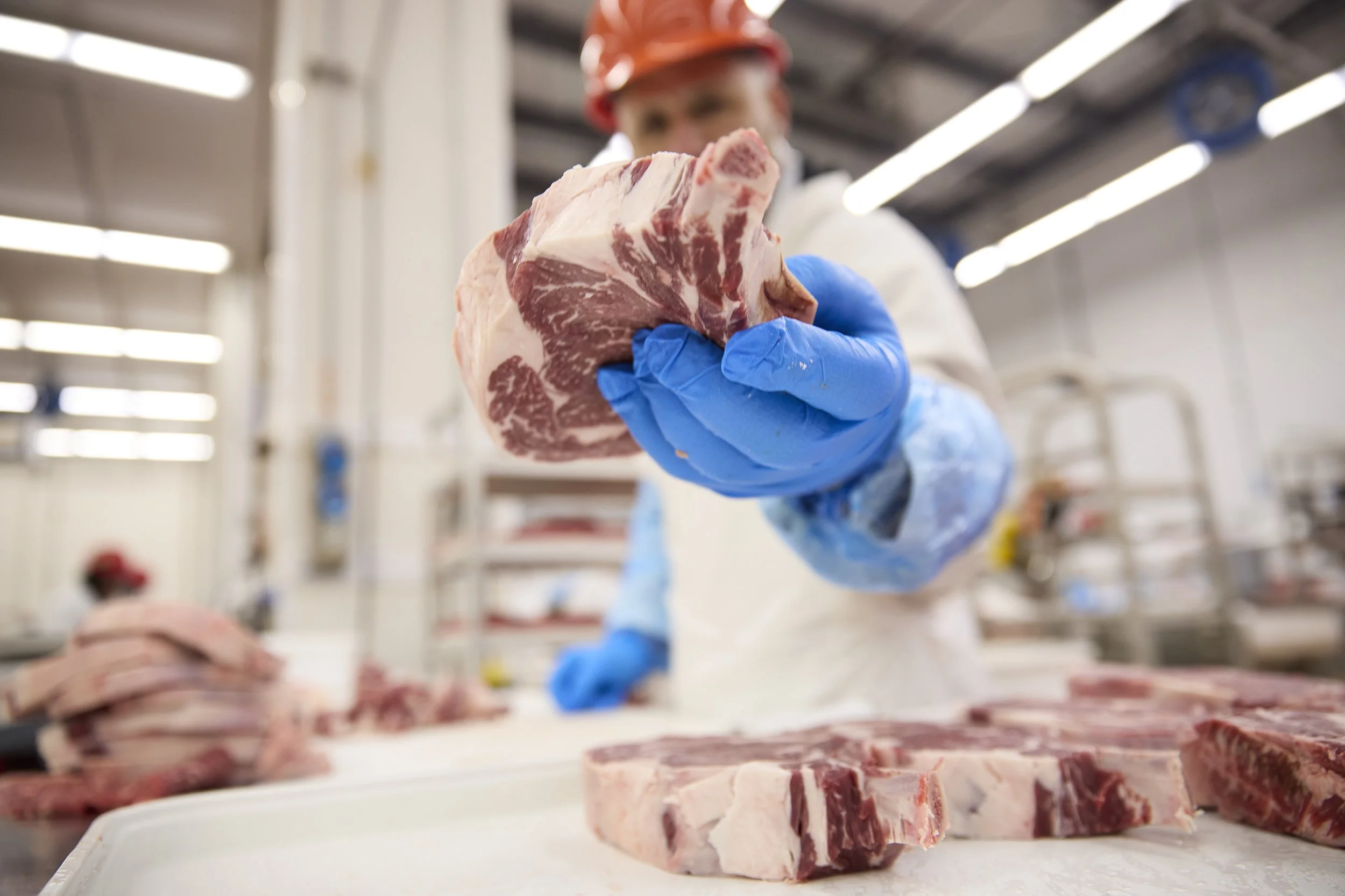 Stock Yards Collective Photography_156.jpg