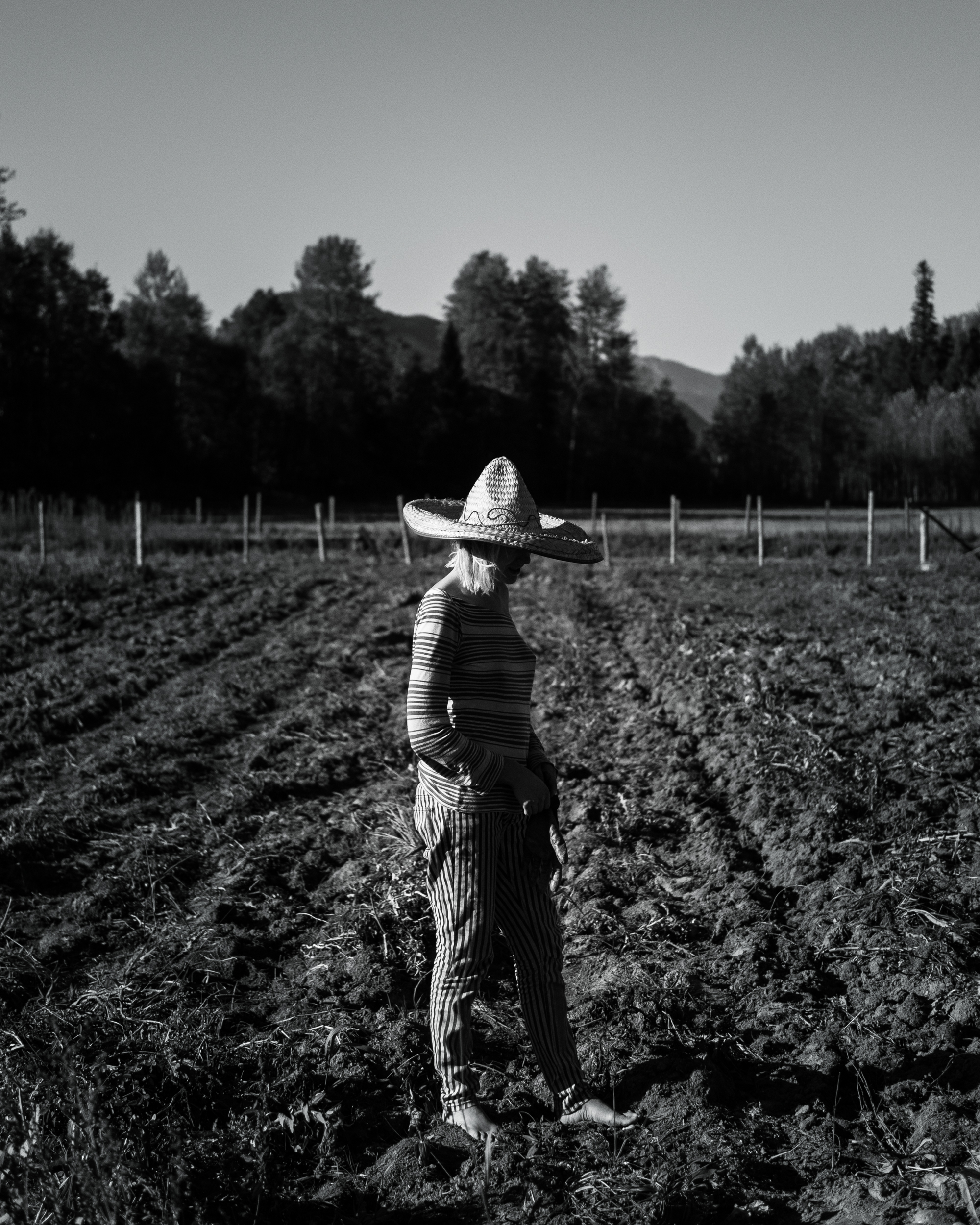 Vince's daughter Amber stands in the potato field during the 2014 harvest. Although her father felt she should be a farmer, from an early age it was clear she was destined to be on stage as an actress. When not helping