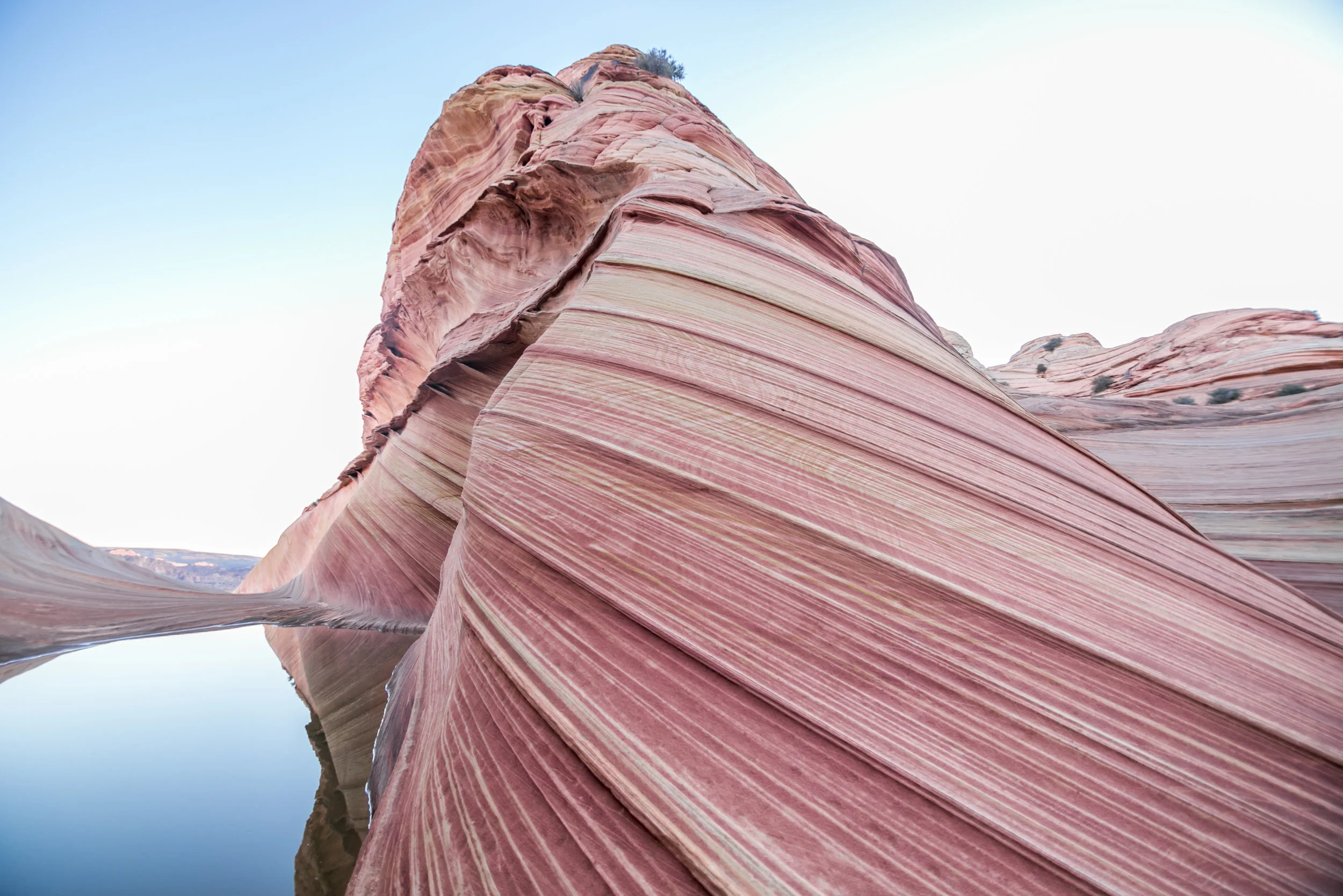 Five Things You Should Know About The Wave