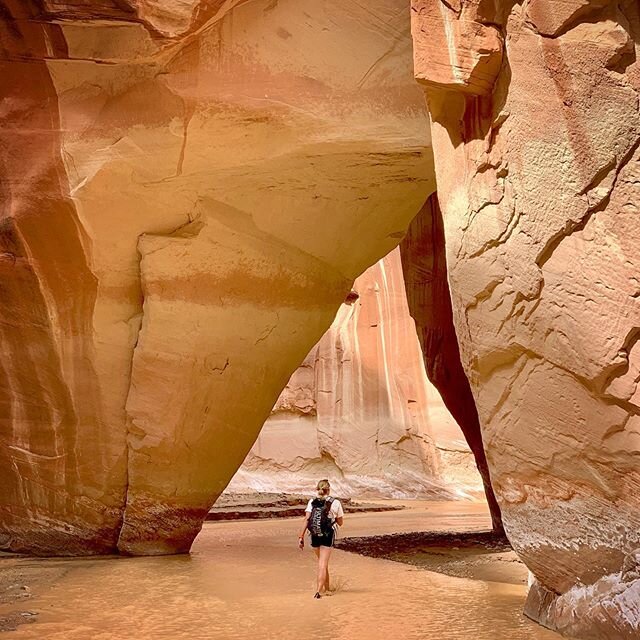 Desert dreams... who&rsquo;s been?
☝🏼
PSA: Bryce and Zion are both in the process of reopening. The Grand Canyon hasn&rsquo;t issued a timeline yet but last we heard roads were going to be closed until May 21 and river trips were suspended through m