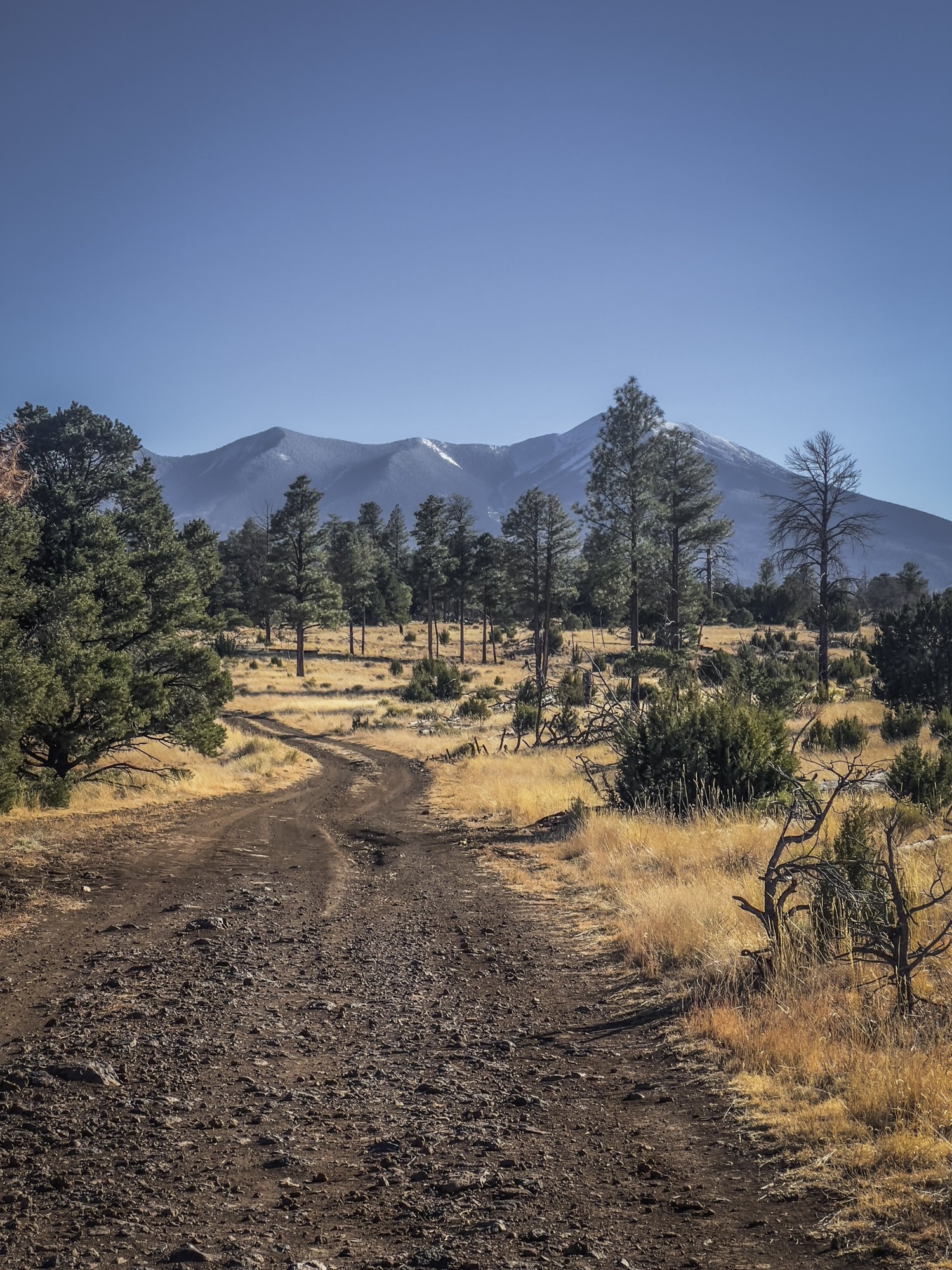  Towards Flagstaff 