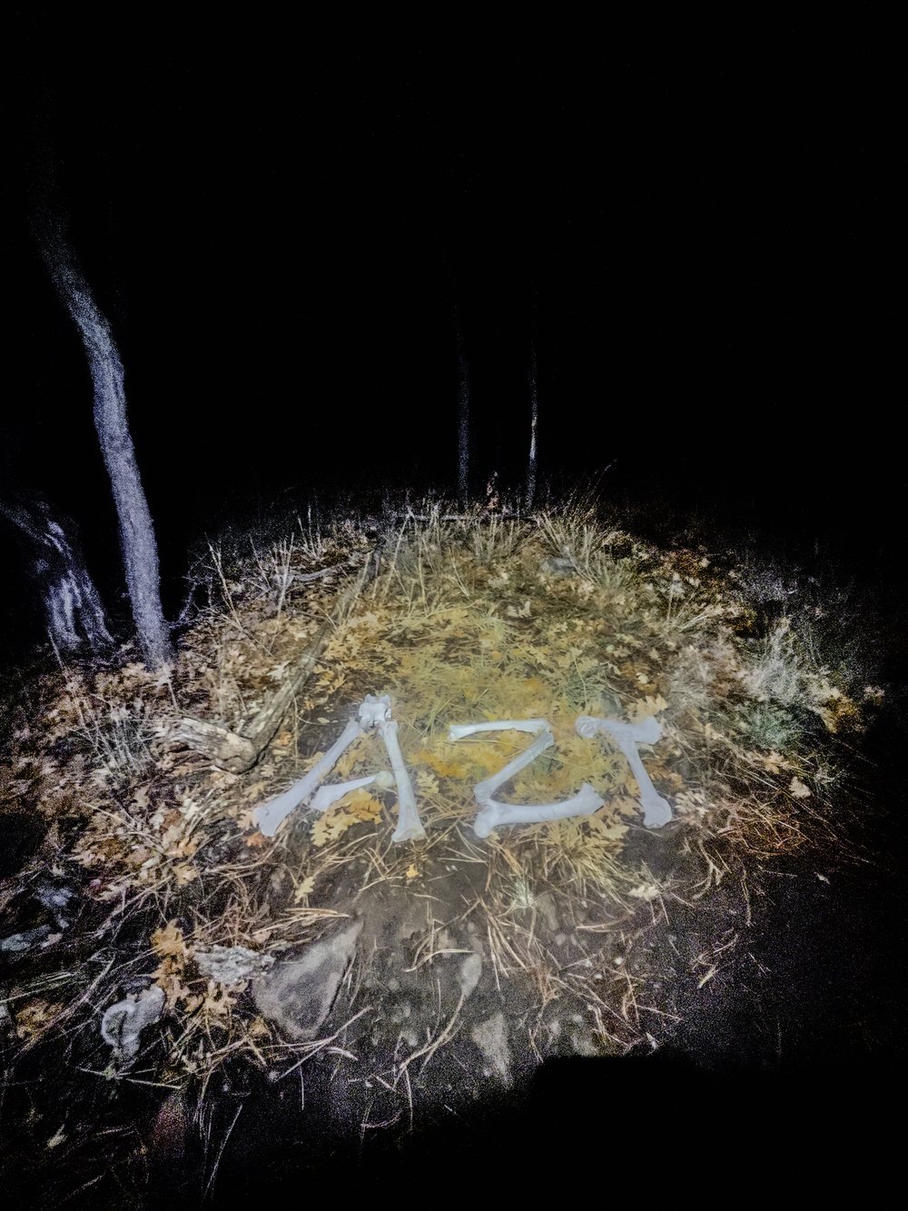  spotted trailside… a sign?  