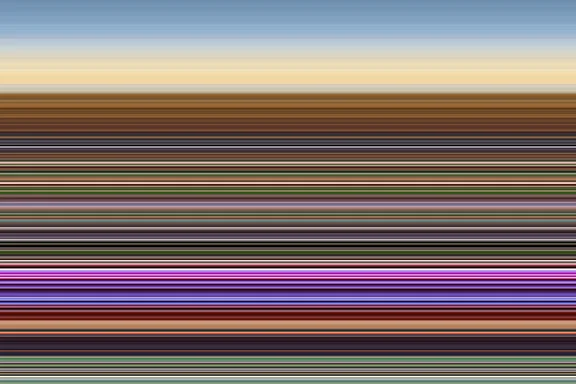David Kaminsky flowering kale at sunrise 3x54.jpg