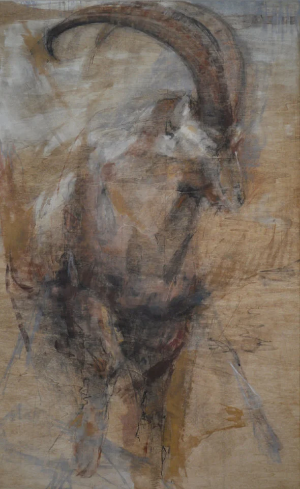 medium_4122014112945969_web the plural of ibex_l pastel and acrylic wash on primed panel 40x24.jpg
