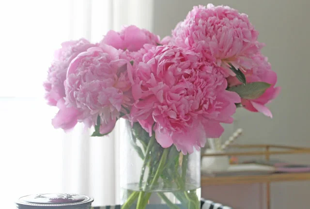 Peonies Please 