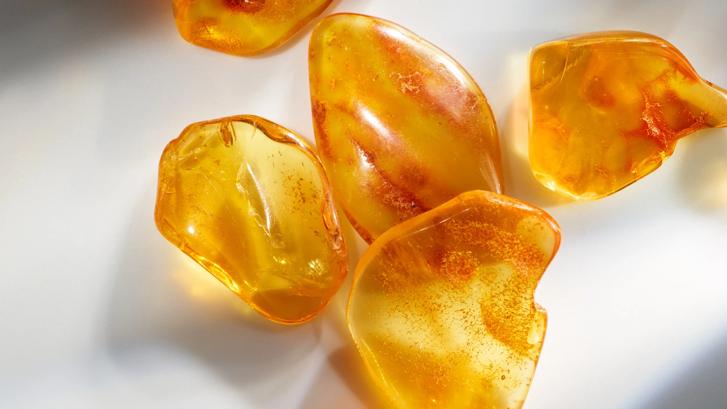 FY20_MK_Wonderlust_Sublime_Amber_Horizontal.jpg