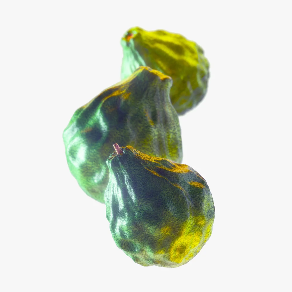 STILL LIFE & MOVING IMAGE ARCHIVE, image 31