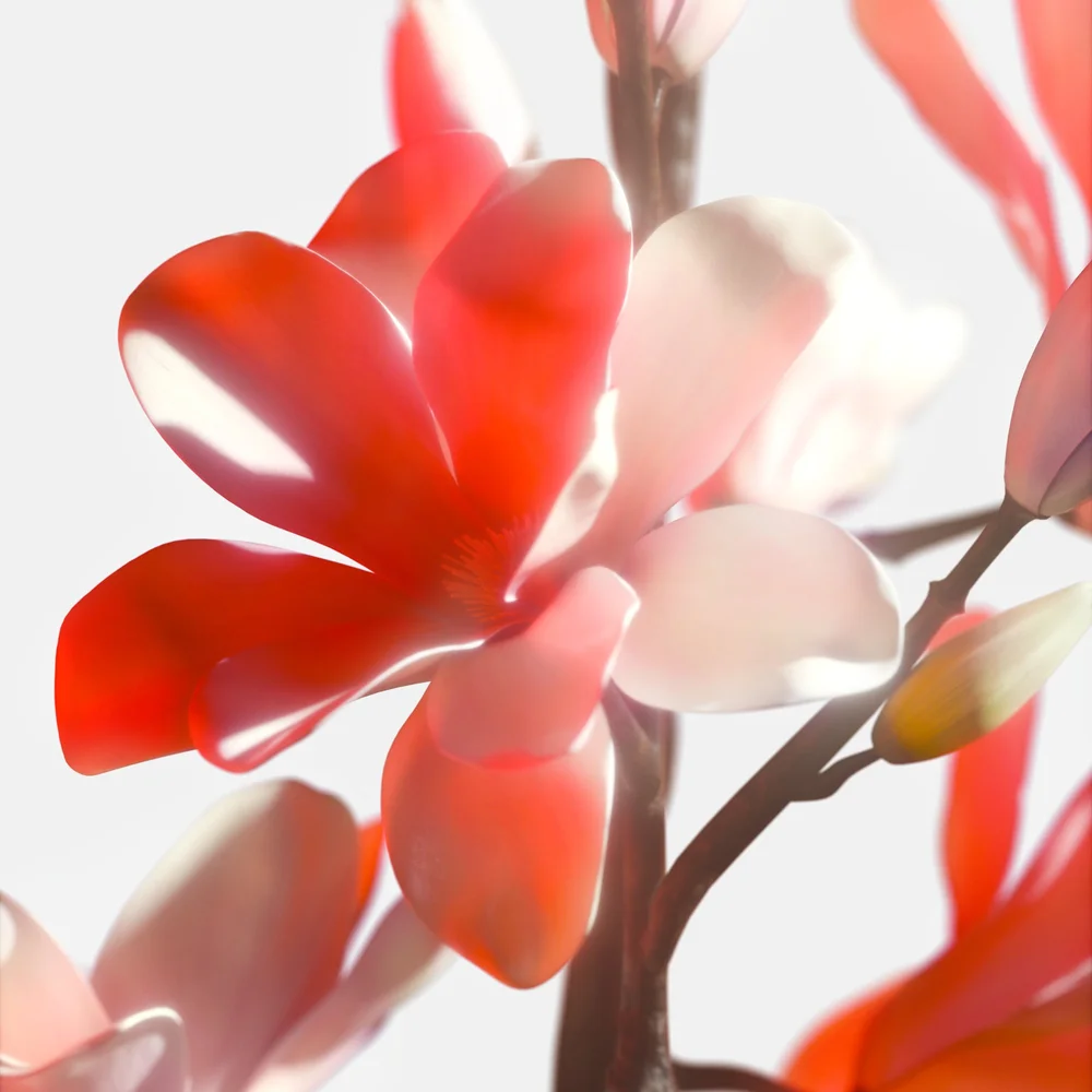 STILL LIFE & MOVING IMAGE ARCHIVE, image 36
