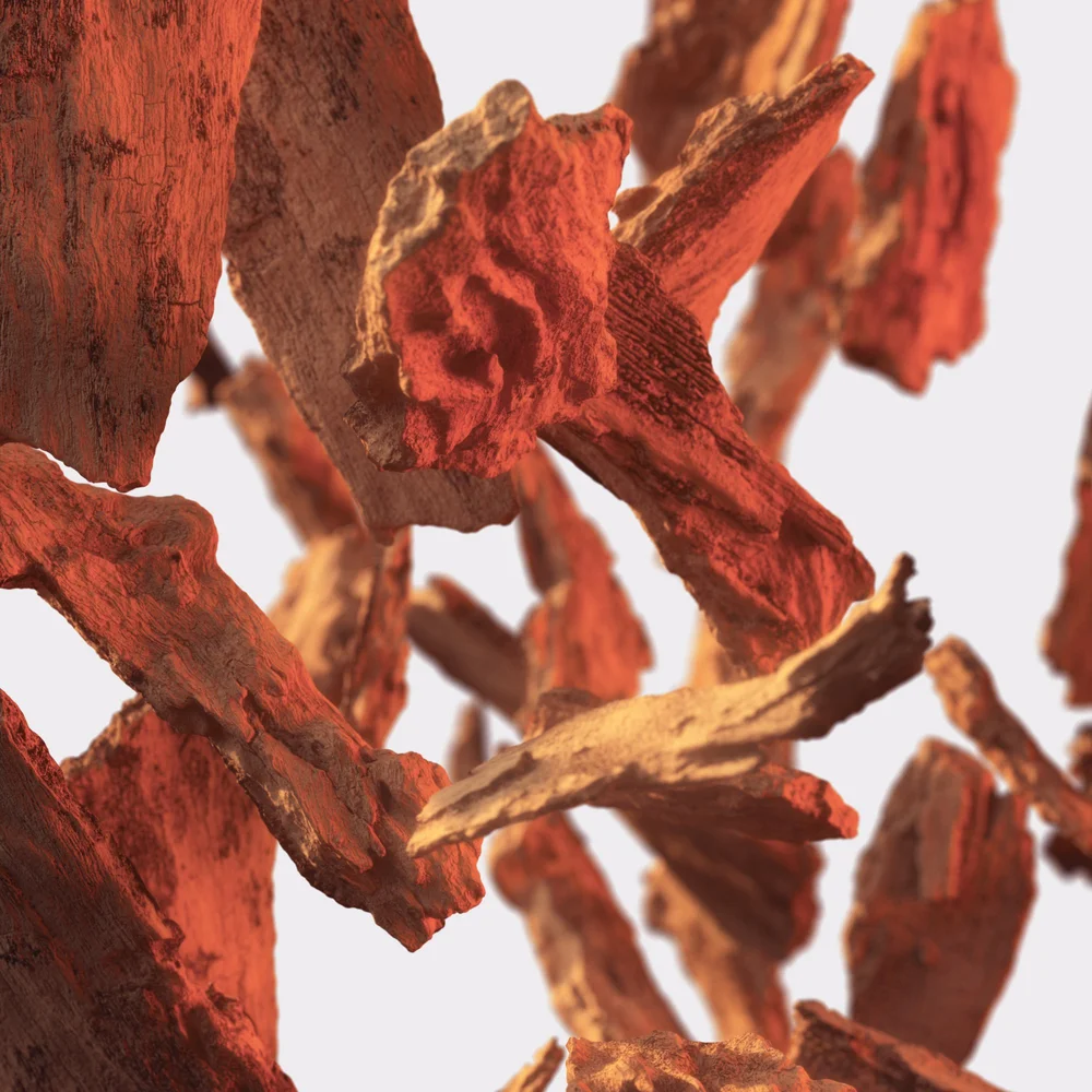 STILL LIFE & MOVING IMAGE ARCHIVE, image 37