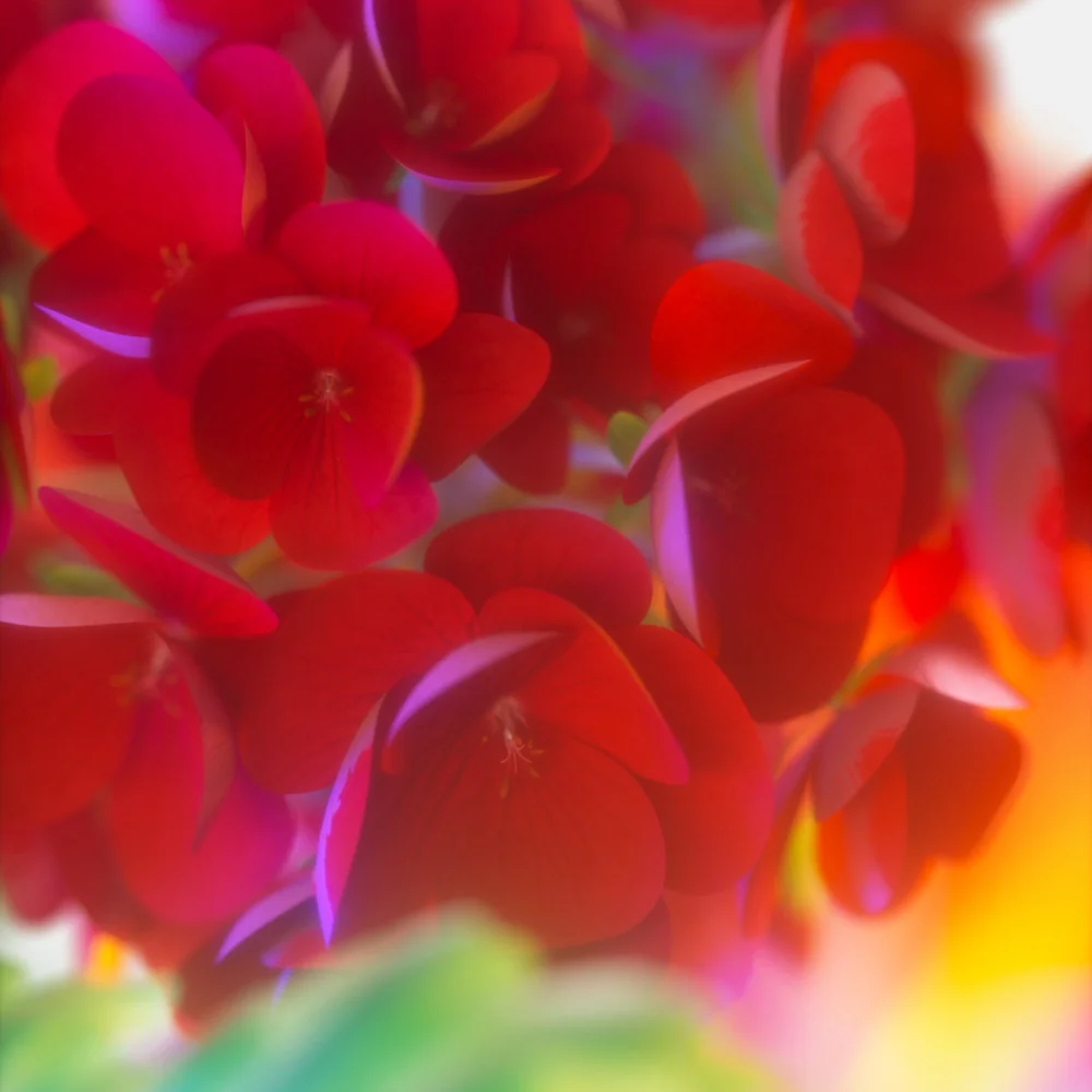 STILL LIFE & MOVING IMAGE ARCHIVE, image 39